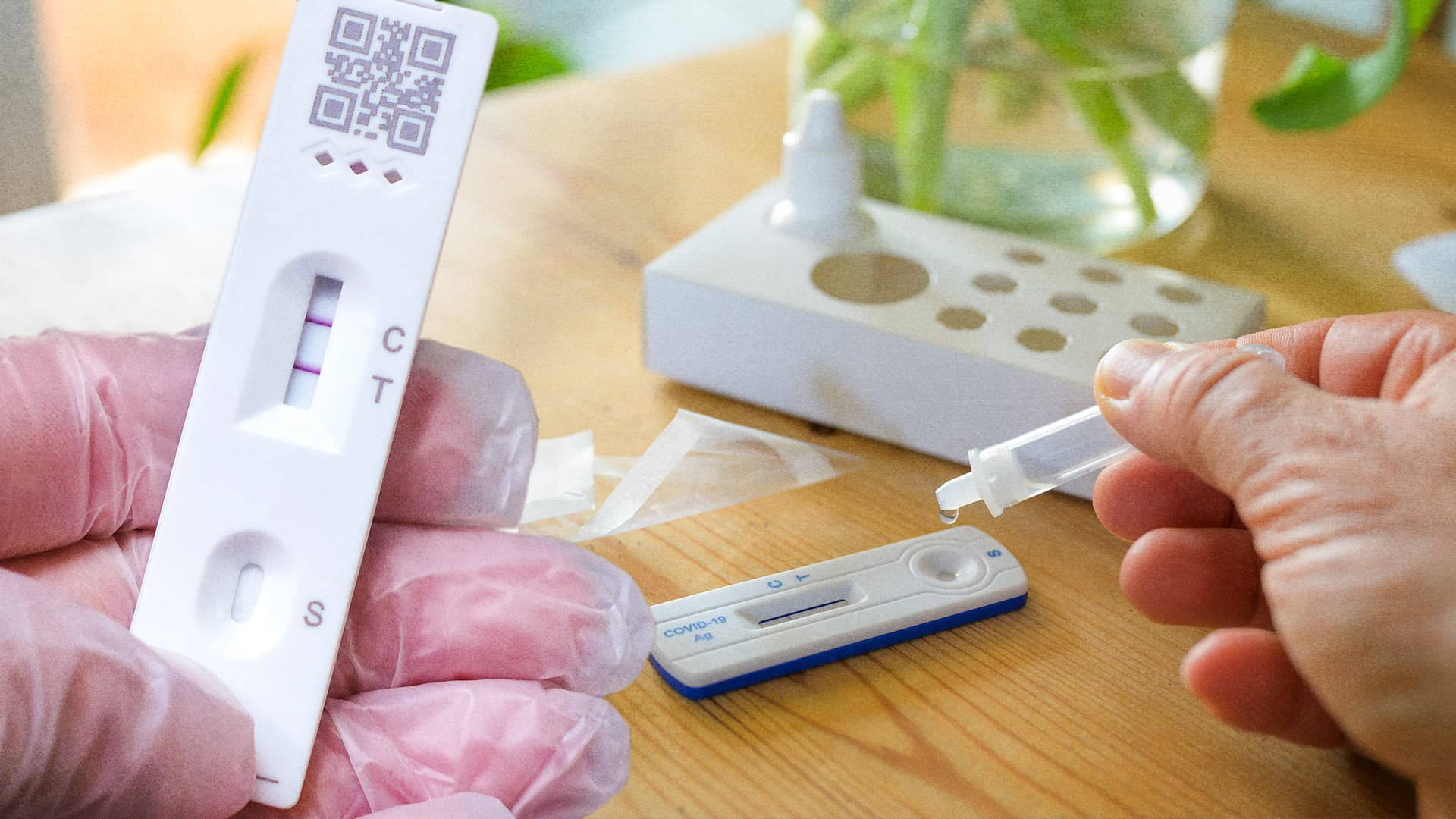 雙手進行COVID-19測試，測試條顯示陽性結果。