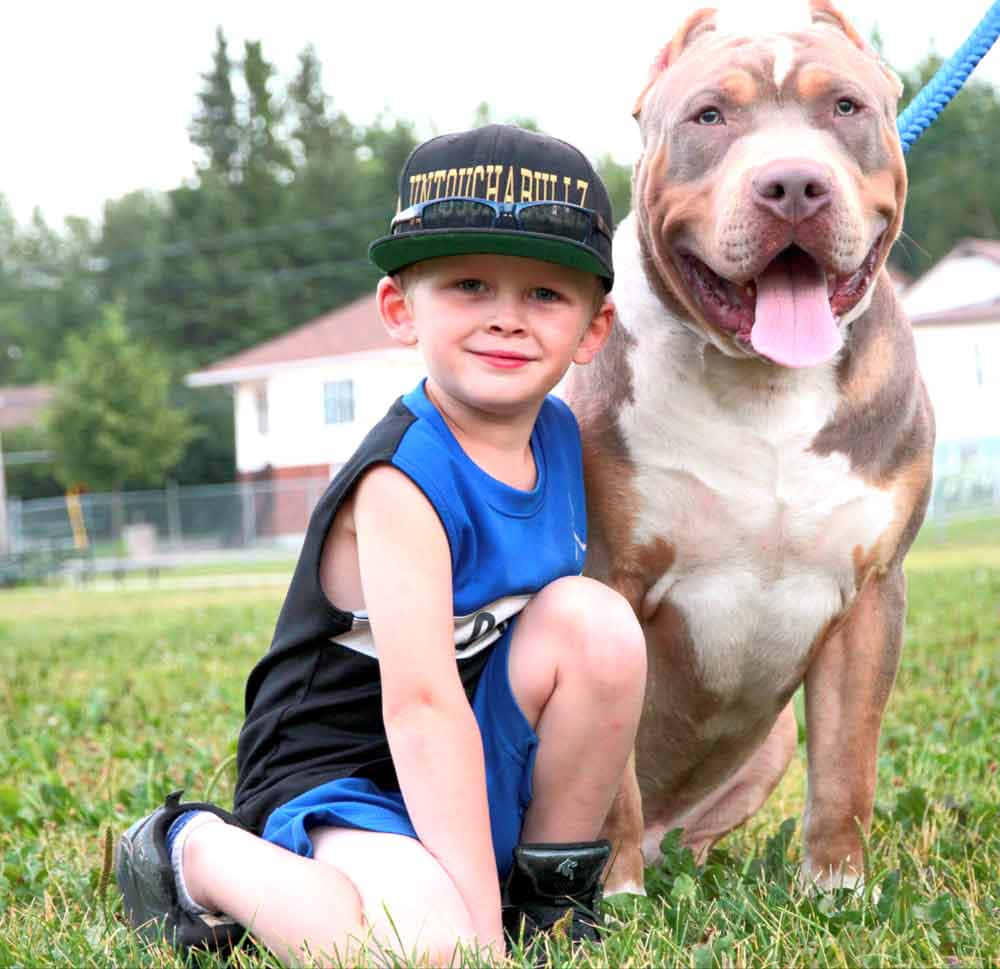 展現你對Bully Dog的熱愛 壁紙 — 一個微笑的男孩穿著藍色背心坐在草地上，旁邊是一隻開心的比特犬伸出舌頭。