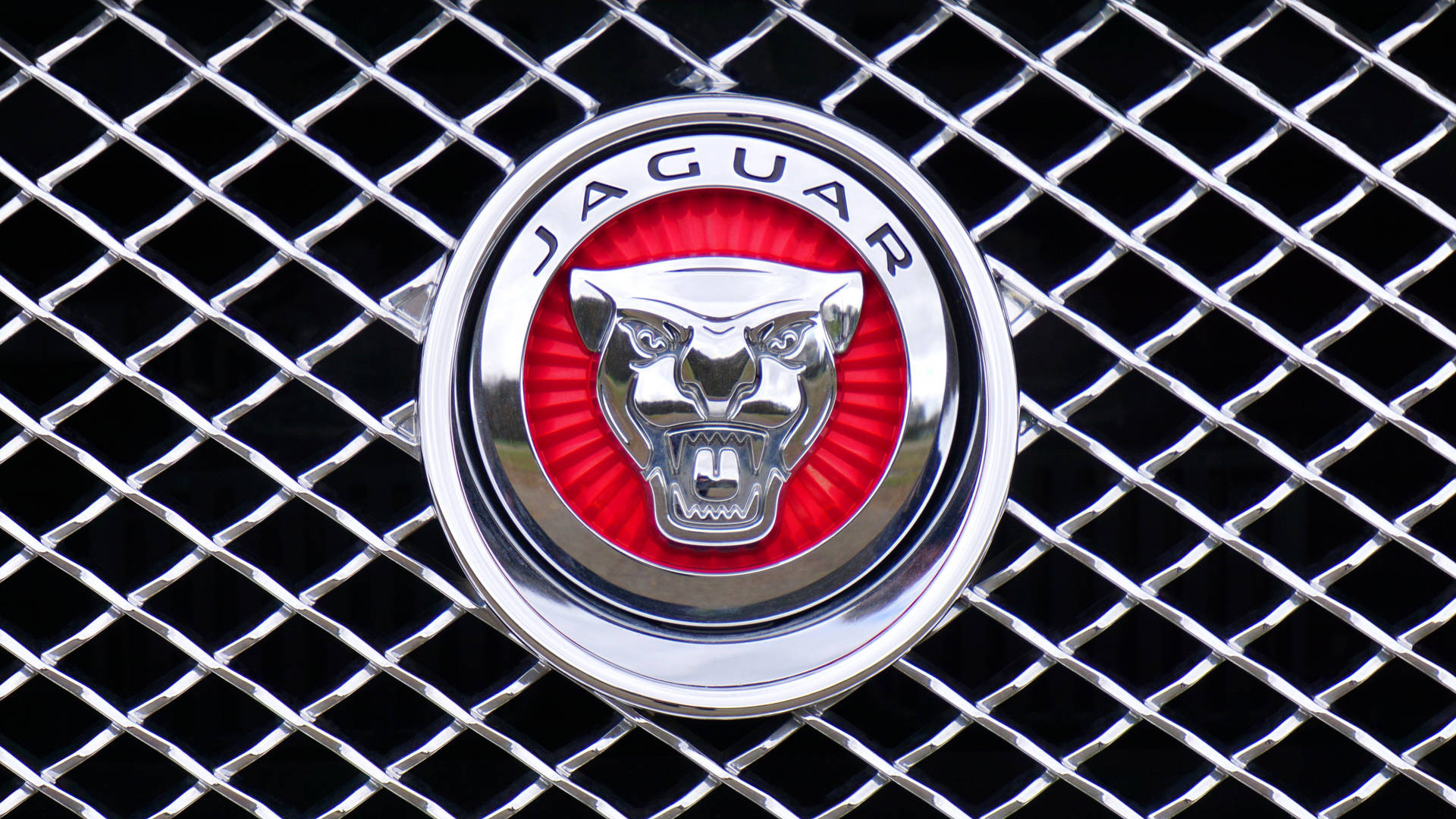 紅色背景的鍍鉻格柵上的Jaguar汽車標誌