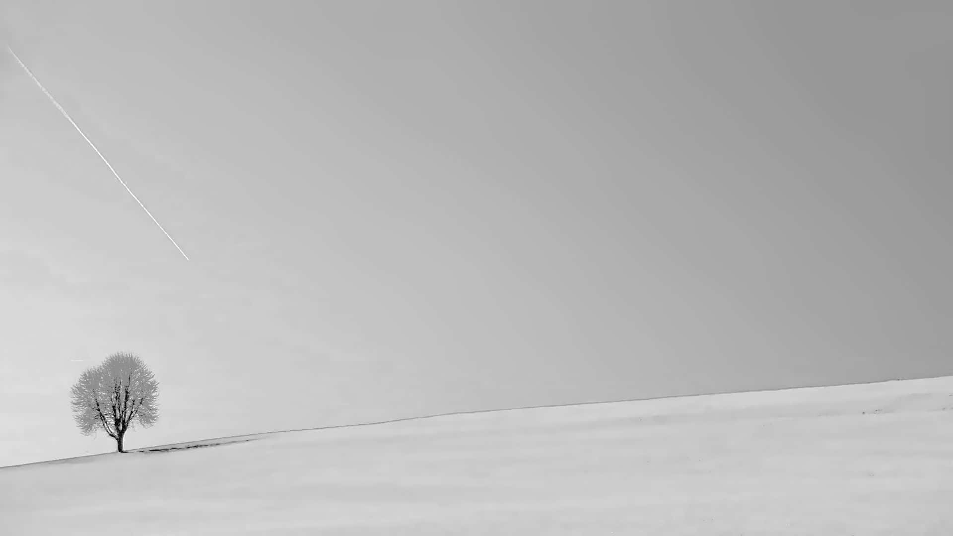 山景灰色背景 壁紙 — 一棵孤獨的裸樹矗立在白雪覆蓋的山丘上，廣闊的灰色天空有一條對角線的凝結尾跡。