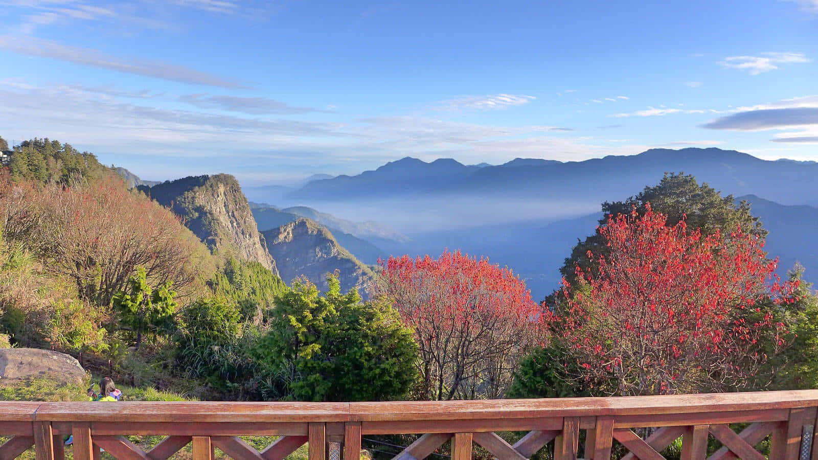 在藍天下，紅綠相間的樹木構成的風景優美的山景。