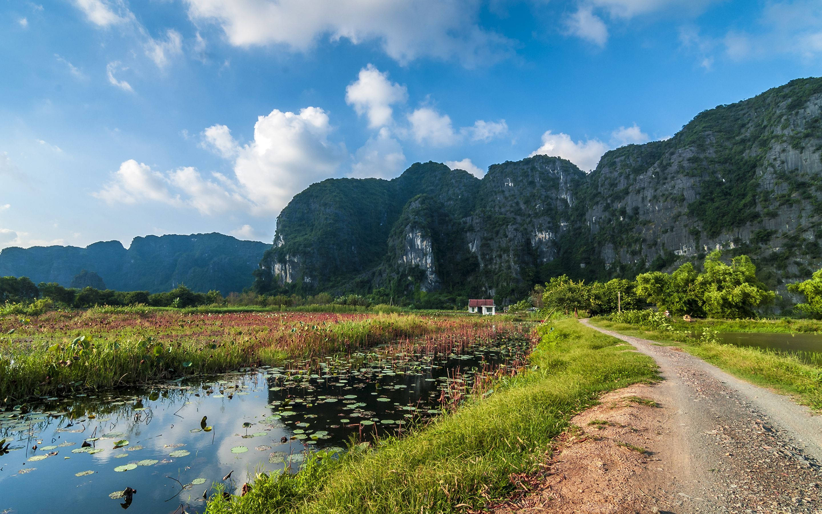 山與道路風景 壁紙 — 一條蜿蜒的泥土小徑，旁邊是一個寧靜的池塘，池塘裡長滿了睡蓮，背景是明亮的藍天、蓬鬆的白雲和高聳的綠色山脈。