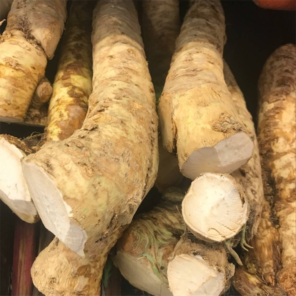 山葵蔬菜堆 壁紙 — 新鮮歐洲防風草的近距離特寫，粗糙的米色外皮和淡白色內部堆疊在市場的籃子裡。
