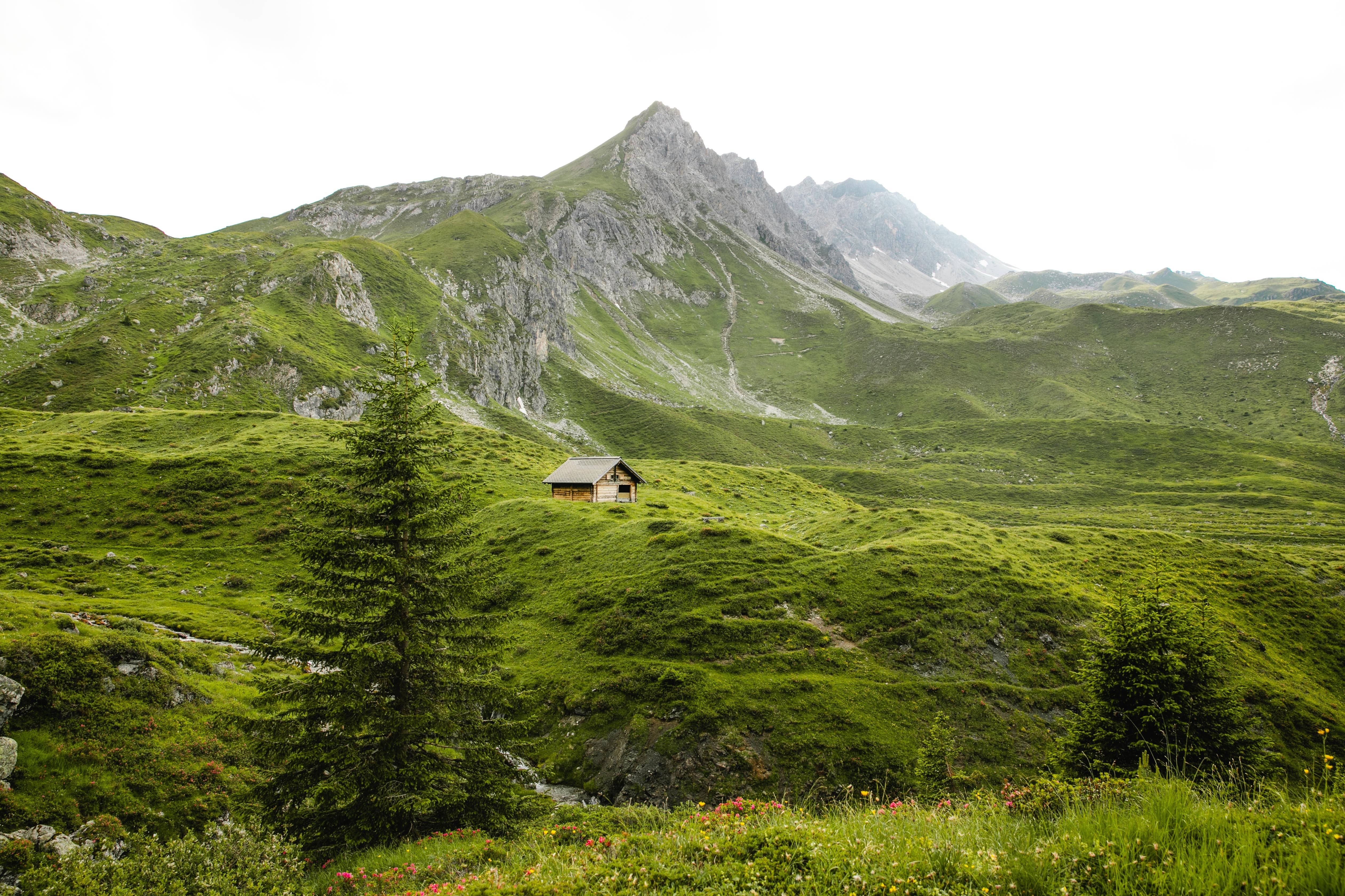 山間孤屋與綠意 壁紙 — 一間孤獨的木屋坐落在充滿活力的綠色高山草甸中，背後是參差不齊的岩石山峰，在陰天的天空下升起。