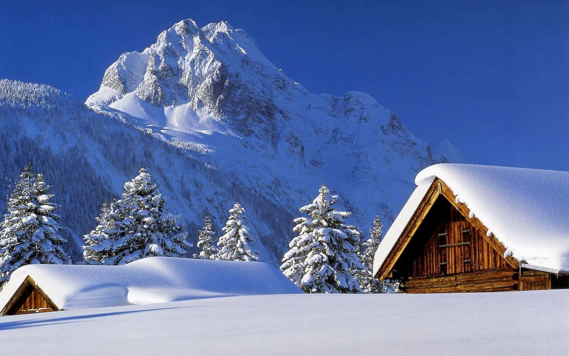 在晴朗的藍天下，被常青樹環繞的積雪山間小屋。