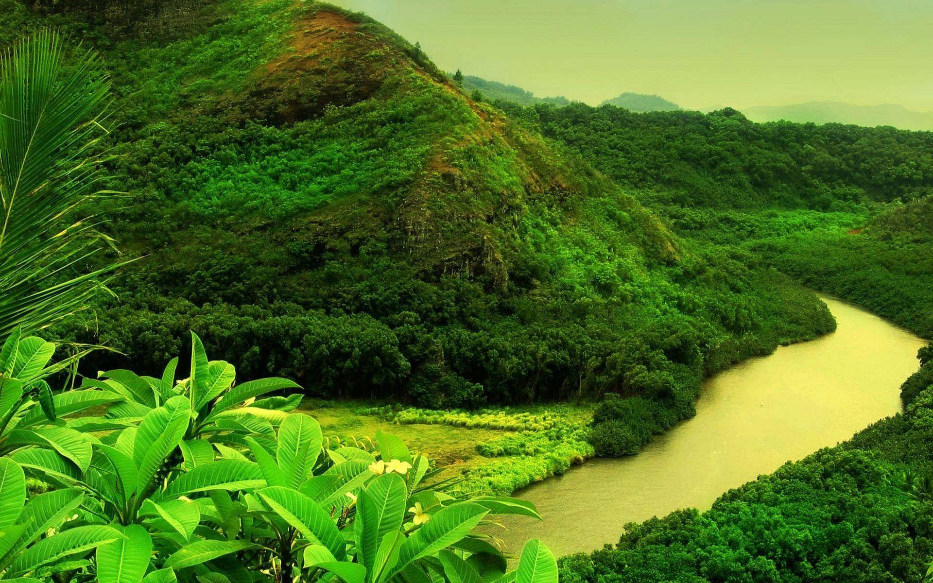 山間綠意與河流 壁紙 — 一條蜿蜒的河流穿過茂密的綠色叢林山丘，天空朦朧，前景有熱帶植物。