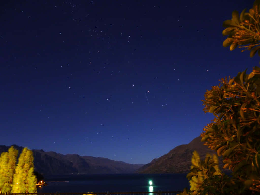 湖泊、山脈和發光樹木上空的繁星之夜