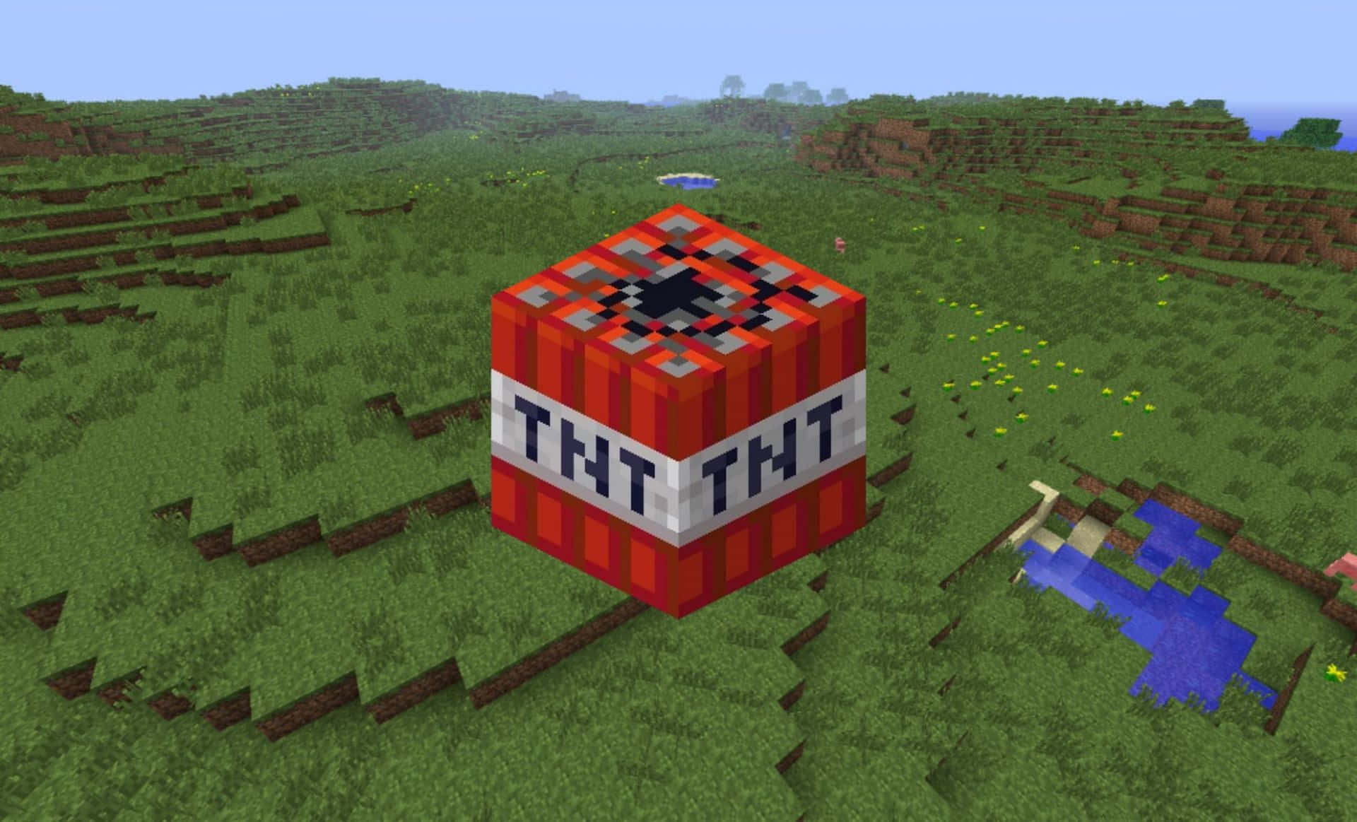 Minecraft草地上的紅色TNT方塊，有山丘和池塘。