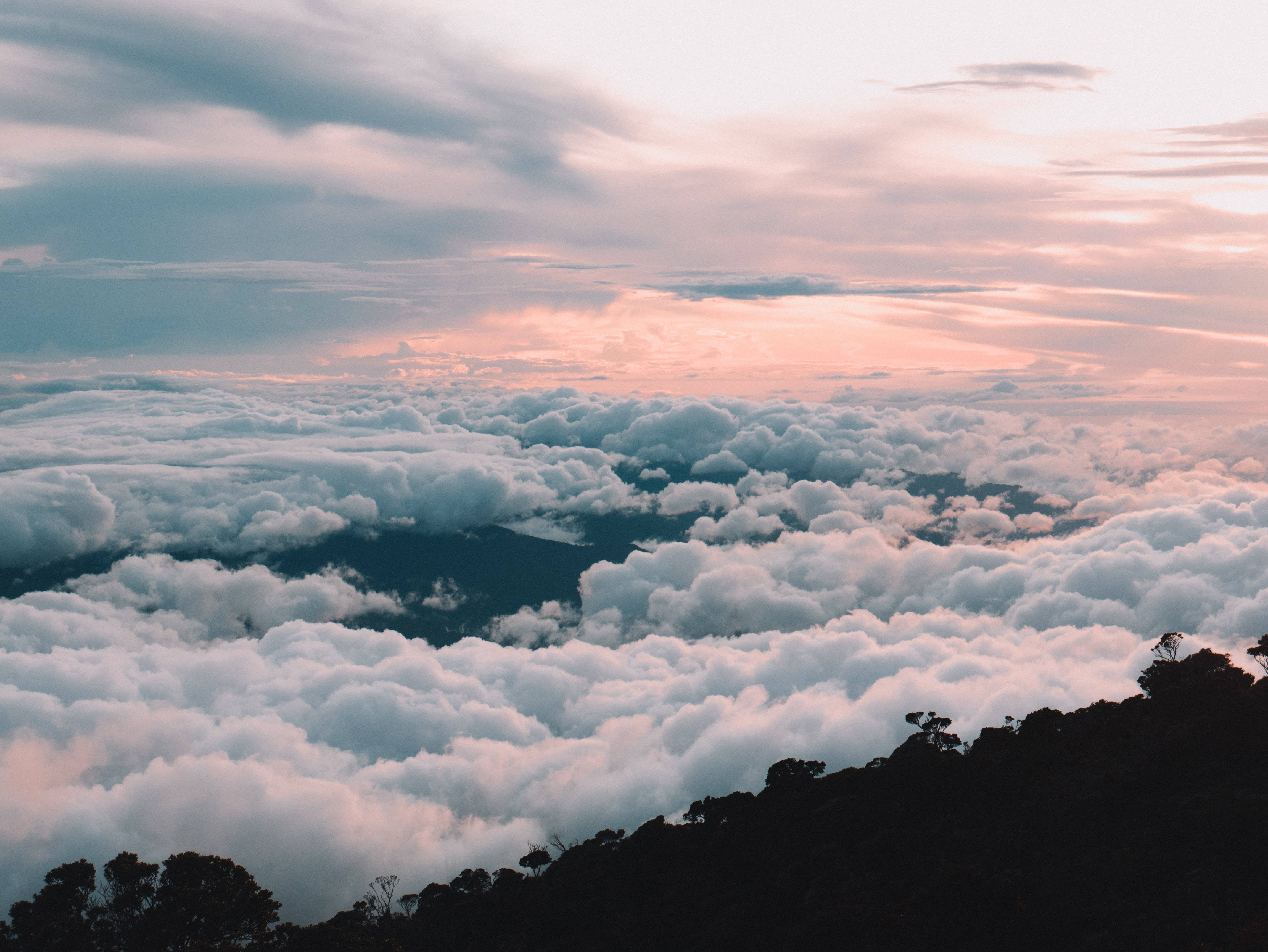 山頂上的美麗天空 壁紙 — 從山頂俯瞰一片柔軟雲海，沐浴在柔和粉紅色和藍色日出光中的壯麗景色。