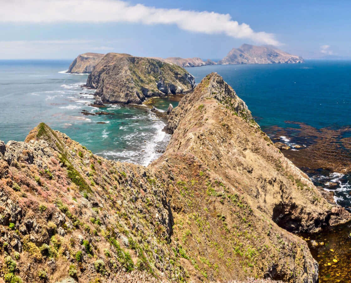 California Island 桌布 壁紙 — 崎嶇的海岸懸崖在明亮的藍天和散落的雲朵下，直插碧綠的海水中。