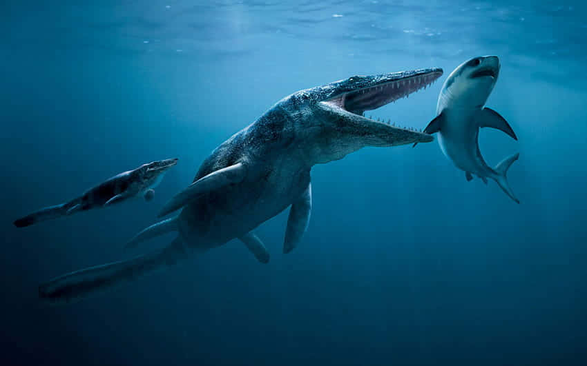 一隻巨大的史前海洋生物在深海中與鯊魚對決。