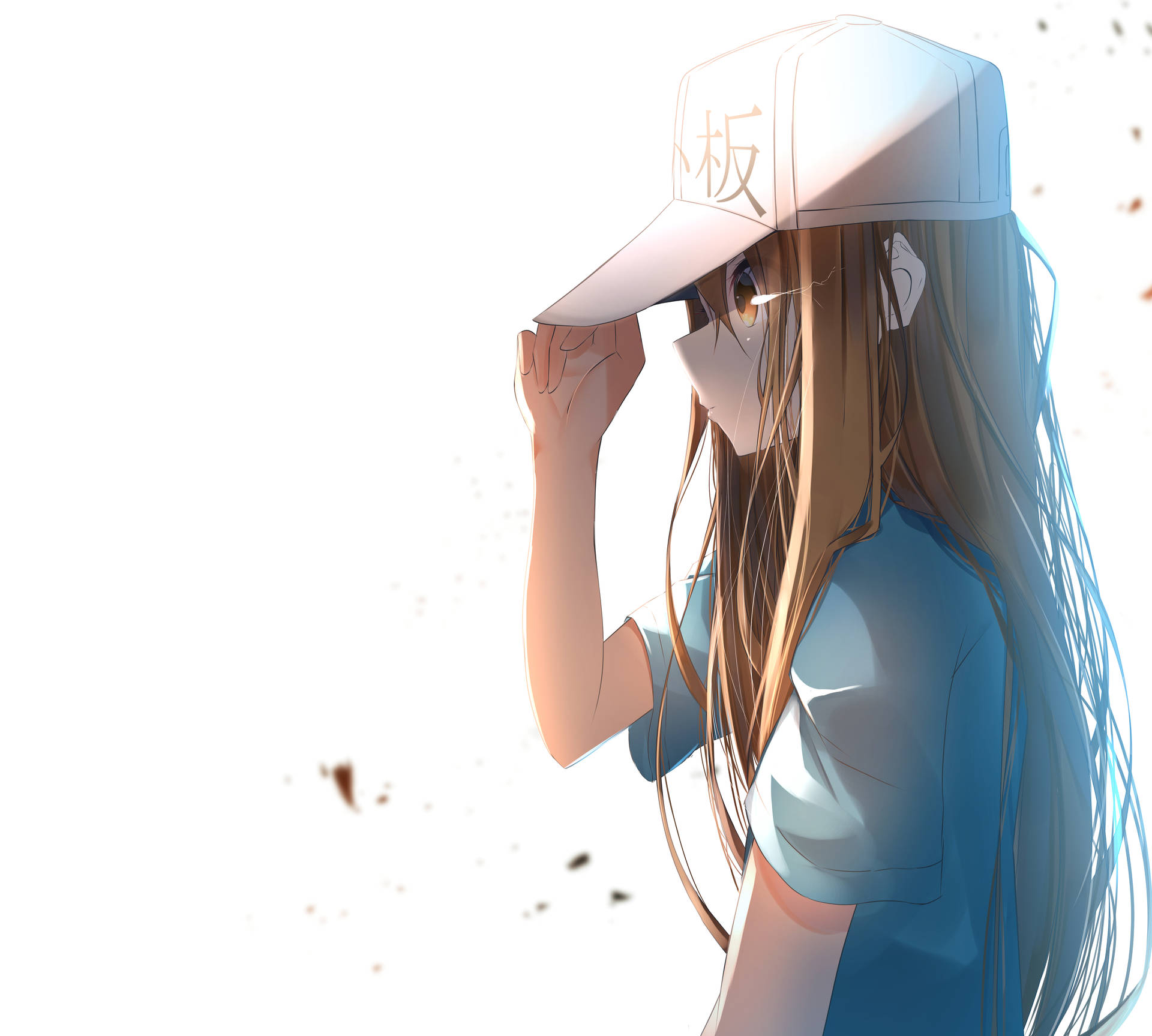 戴白色帽子和藍色襯衫的動漫女孩在明亮光線下調整帽子。