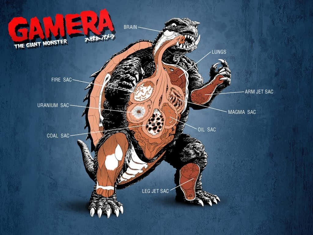 Classic Godzilla 桌布 壁紙 — 巨型怪獸卡美拉的解剖插圖，在帶紋理的藍色背景上展示了大腦、肺部和岩漿囊等內部器官。