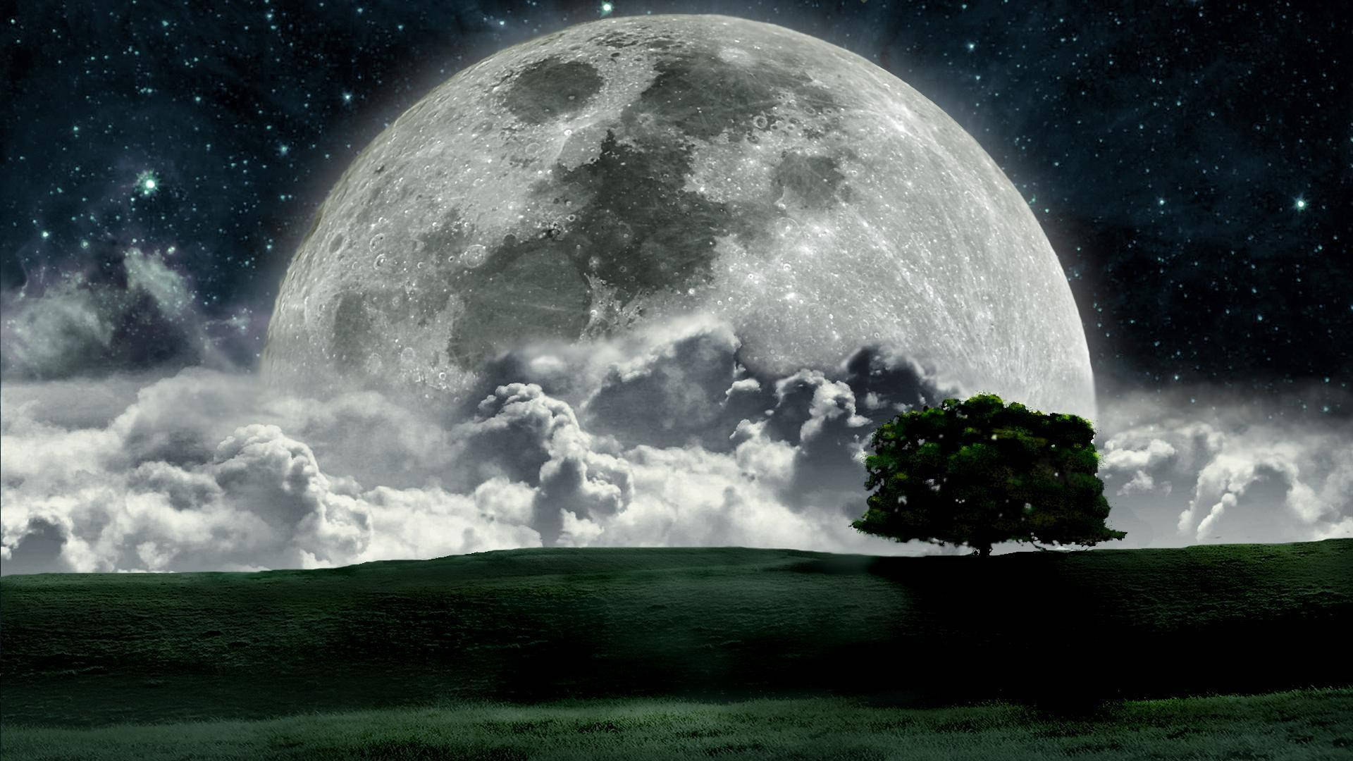 孤樹在星空夜空雲層下的巨大月亮