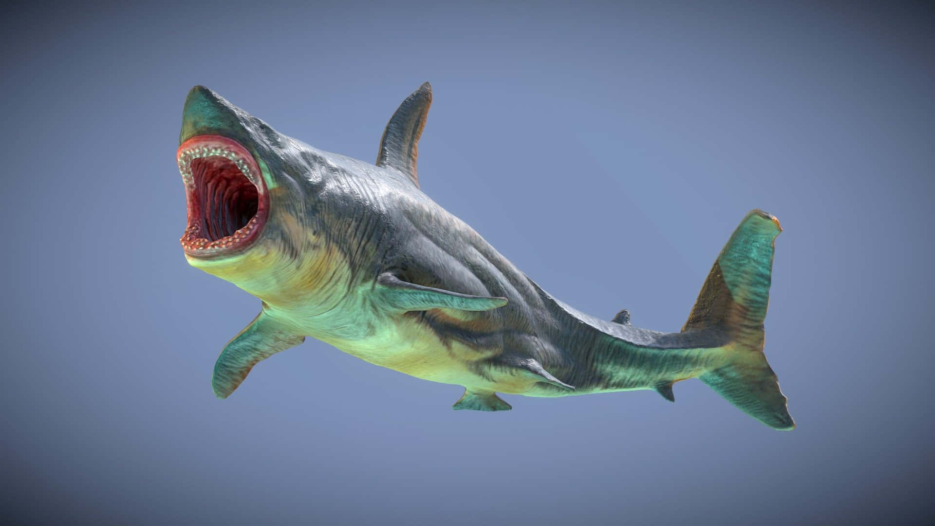 巨齒鯊3D渲染圖 壁紙 — 一條數碼渲染的史前鯊魚張開下顎露出尖牙，在純藍色背景上滑行。
