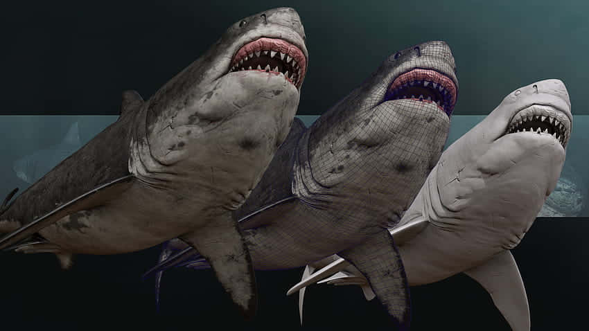 三條3D渲染嘅鯊魚張開嘴喺黑暗嘅水中游水。
