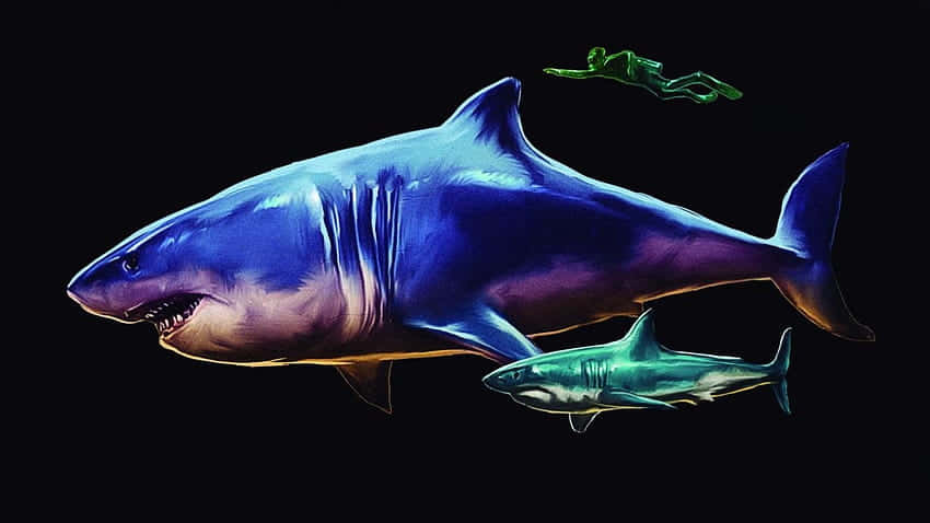 兩條鯊魚在黑暗的水中靠近一個發光的潛水員游動。