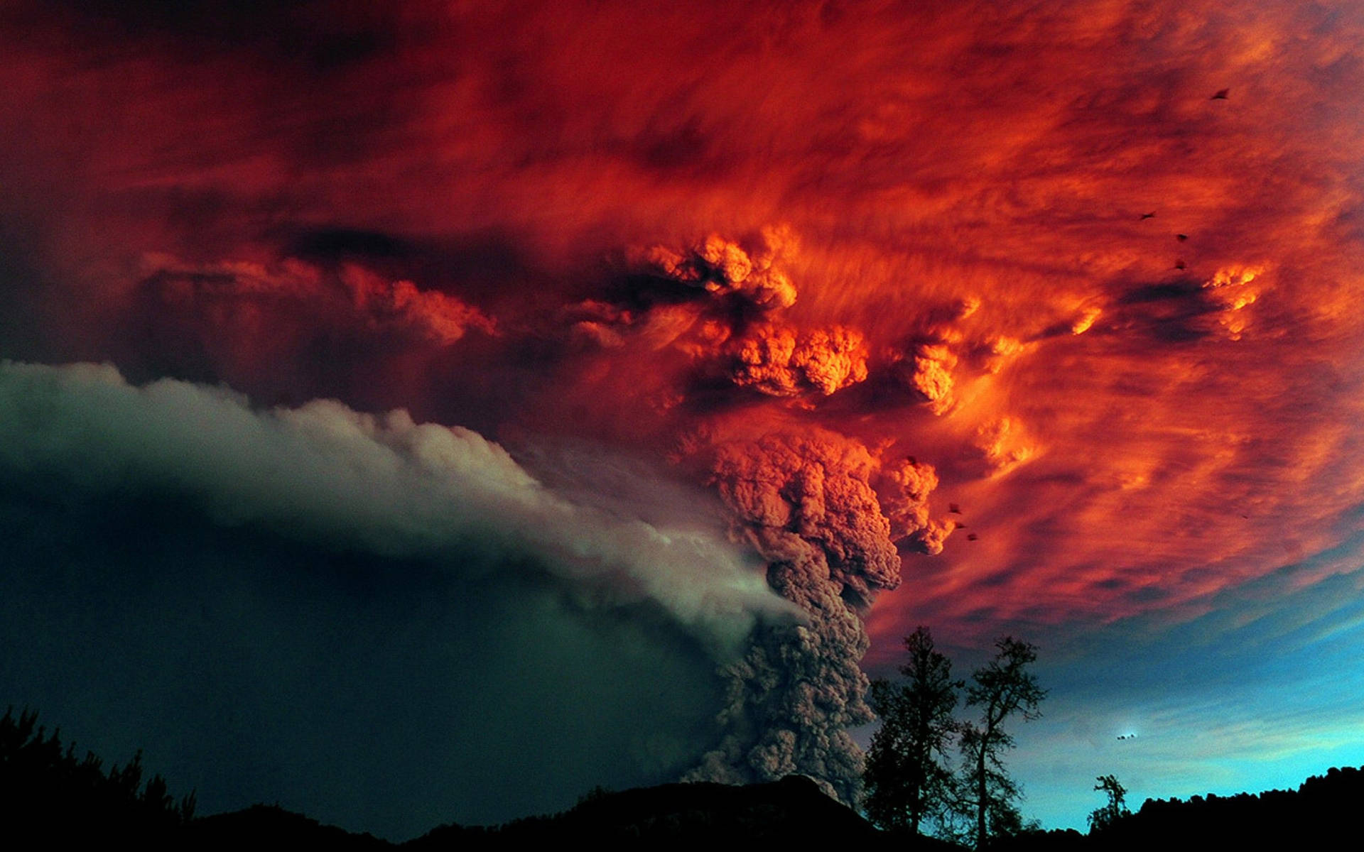 火山爆發，熾熱的火山灰雲映襯著暮色天空和樹木剪影。