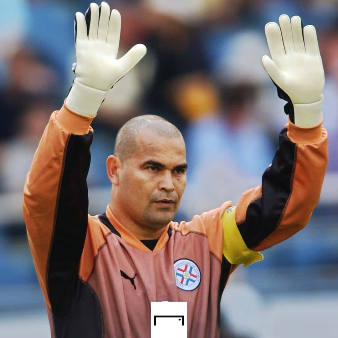 巴拉圭足球守門員José Luis Chilavert於2002年世界杯對陣斯洛文尼亞時舉手 壁紙 — 一位專注的足球守門員身穿橙色和黑色裝備，在日間比賽中向人群舉起戴著手套的雙手。