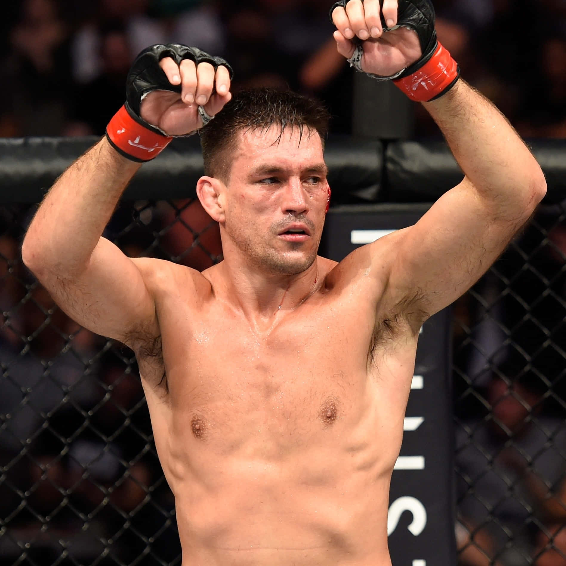 MMA拳手在八角籠中滿臉是血，高舉拳頭慶祝勝利。