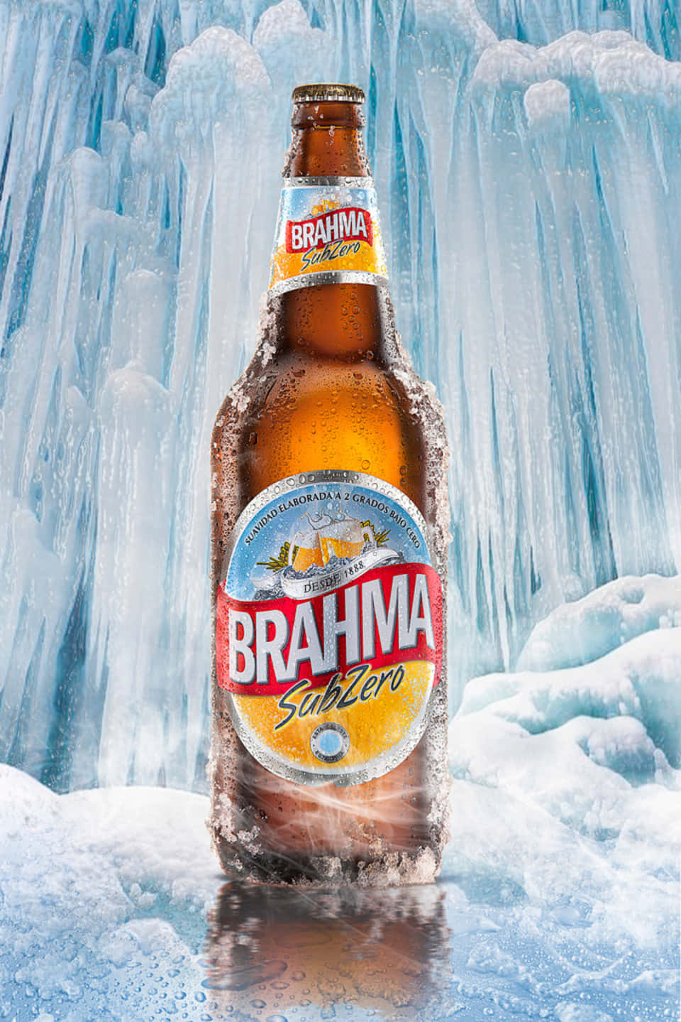 一個冰涼的 Brahma SubZero 啤酒瓶被冰雪包圍。