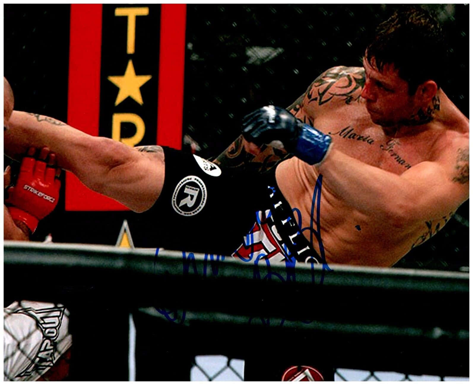 巴西綜合格鬥選手雷納托·索布拉爾2010年Strikeforce賽事照 壁紙 — 一位紋身MMA拳手穿著黑色短褲，在紅黑品牌標誌的籠內向對手揮出強力一拳。