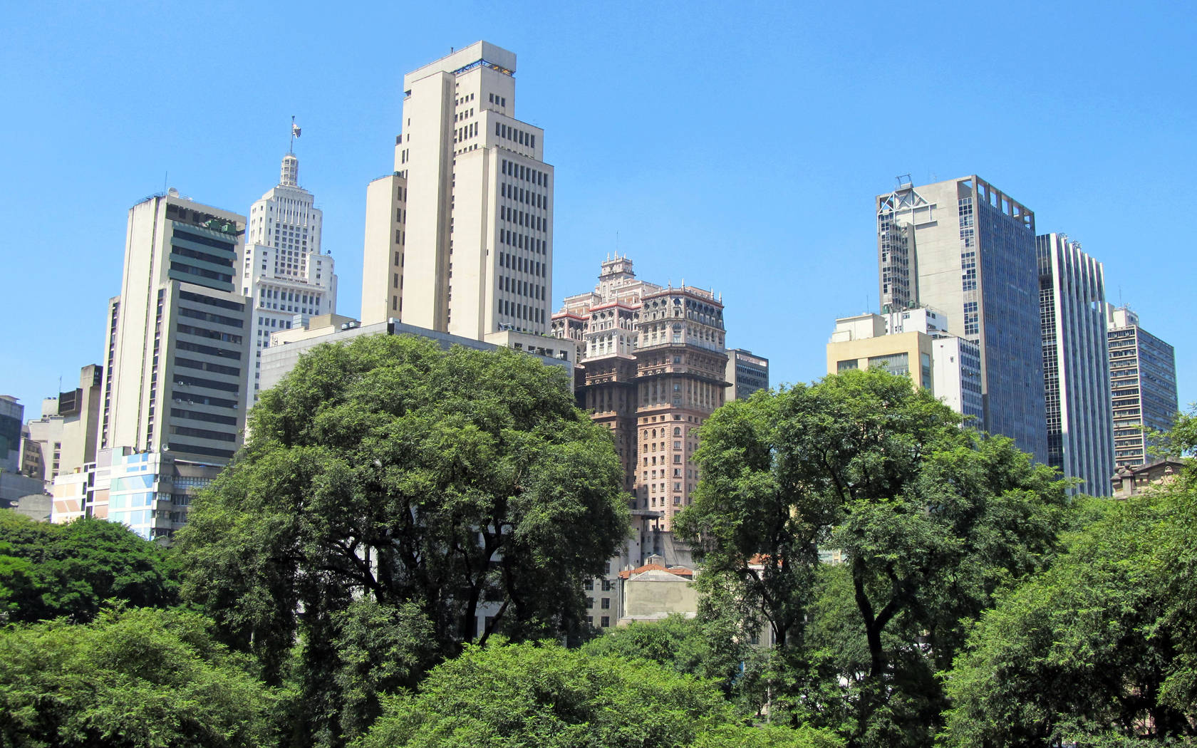 在陽光明媚的日子裡，高聳的城市建築在綠色樹冠後方升起。