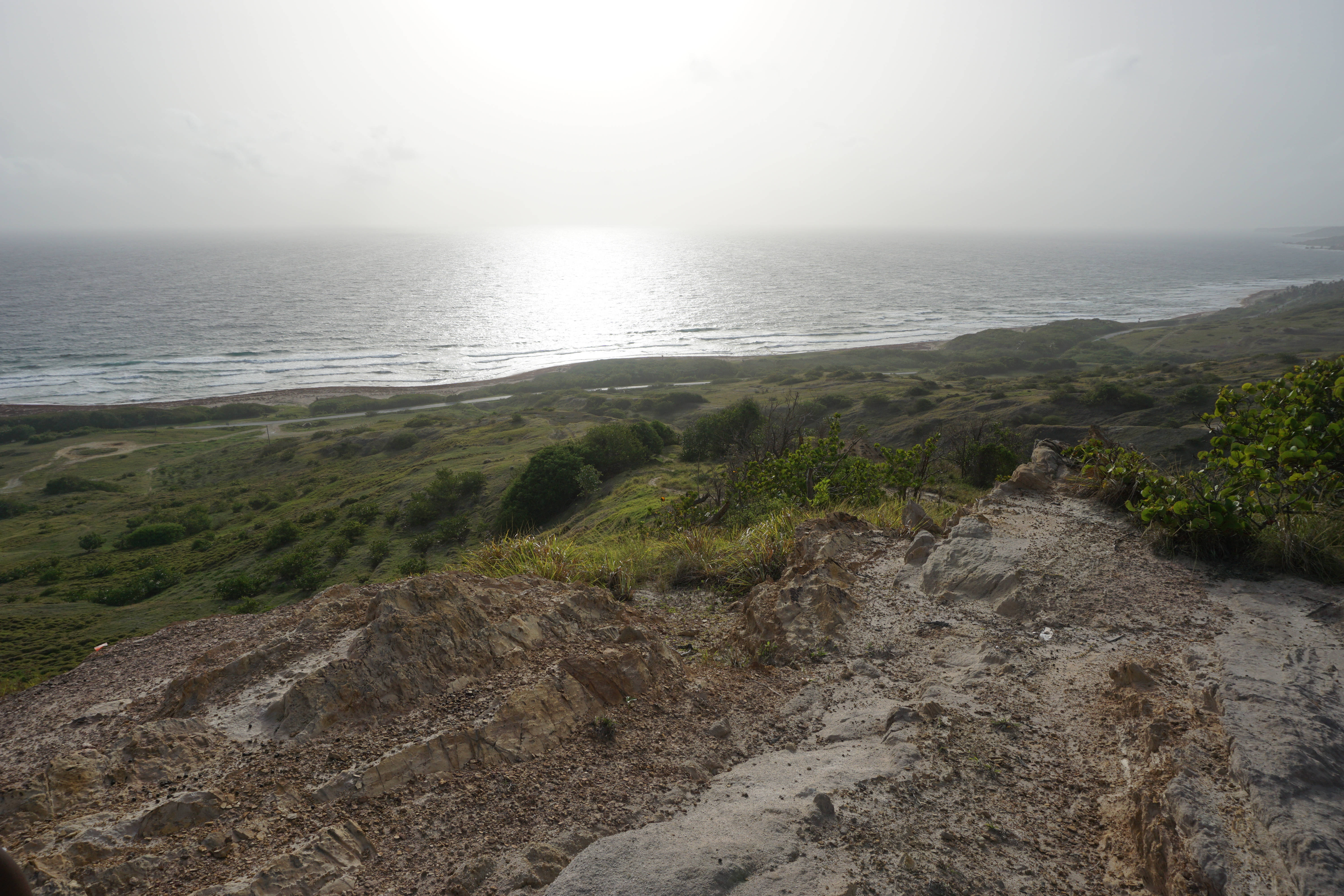 巴貝多島崖邊日出 壁紙 — 霧氣瀰漫的海岸懸崖俯瞰著陽光普照的海洋，溫柔的海浪拍打著下方的沙灘。