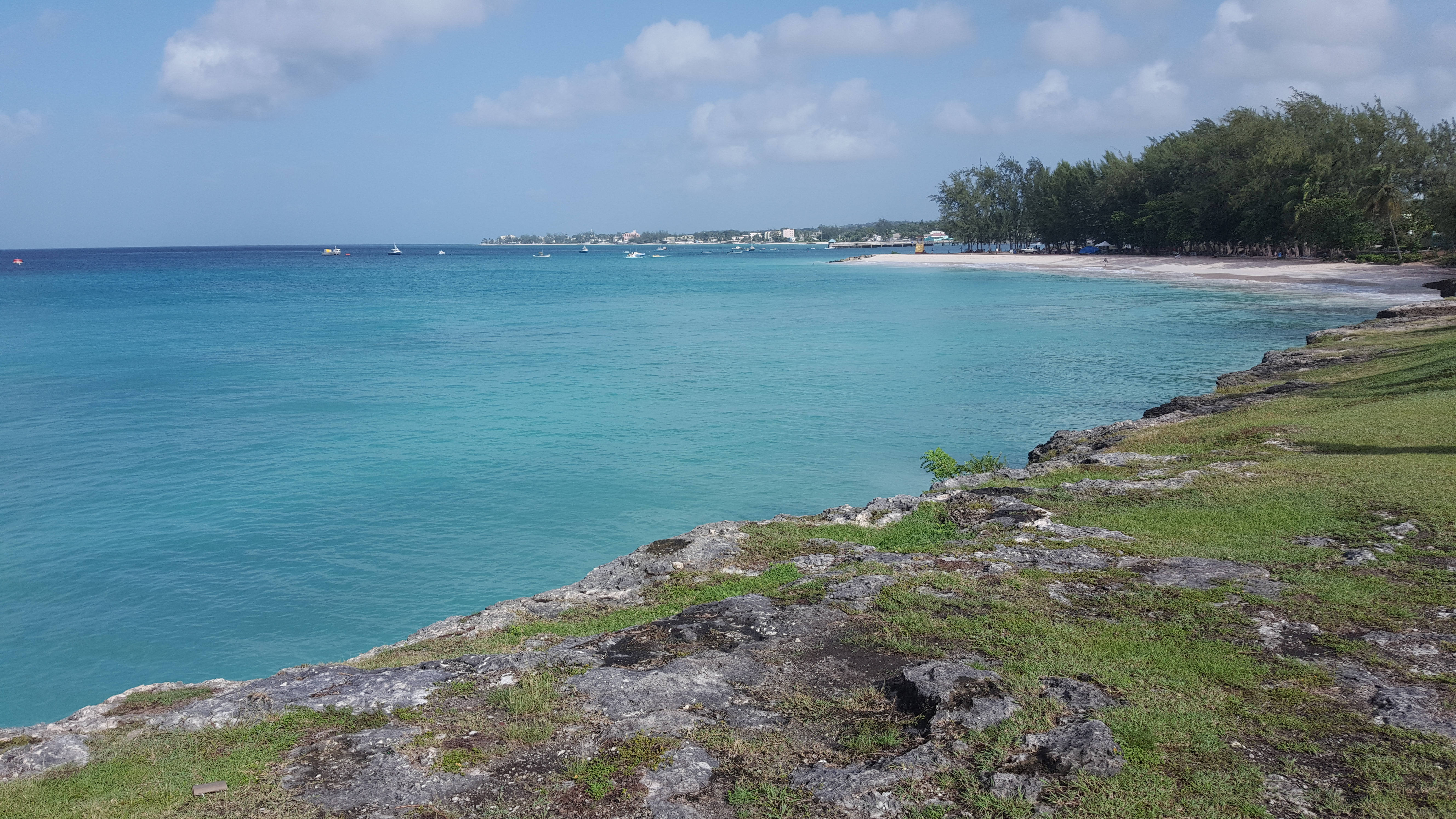 巴貝多島日間風景 壁紙 — 藍綠色的海洋與白色沙灘相接，四周環繞著茂密的綠樹，天空湛藍，白雲點綴。