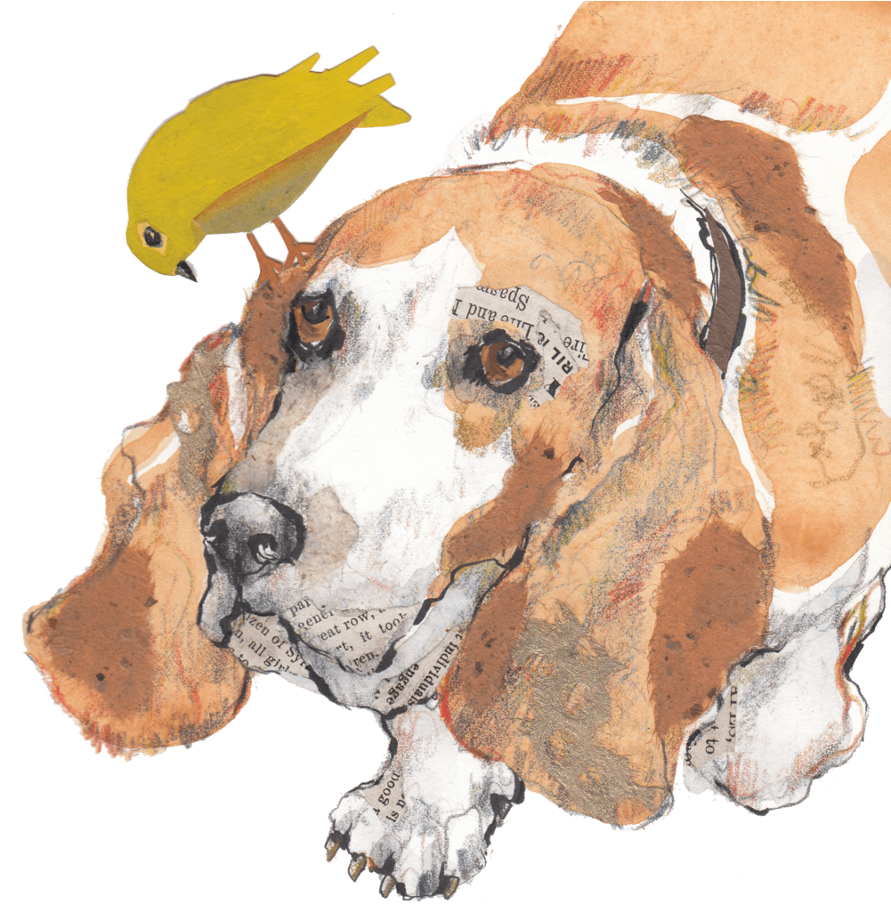 巴賽特獵犬與鳥藝術作品 壁紙 — 一幅水彩插圖，描繪了一隻巴吉度獵犬，頭頂棲息著一隻黃色小鳥，兩者都裝飾著報紙剪報。