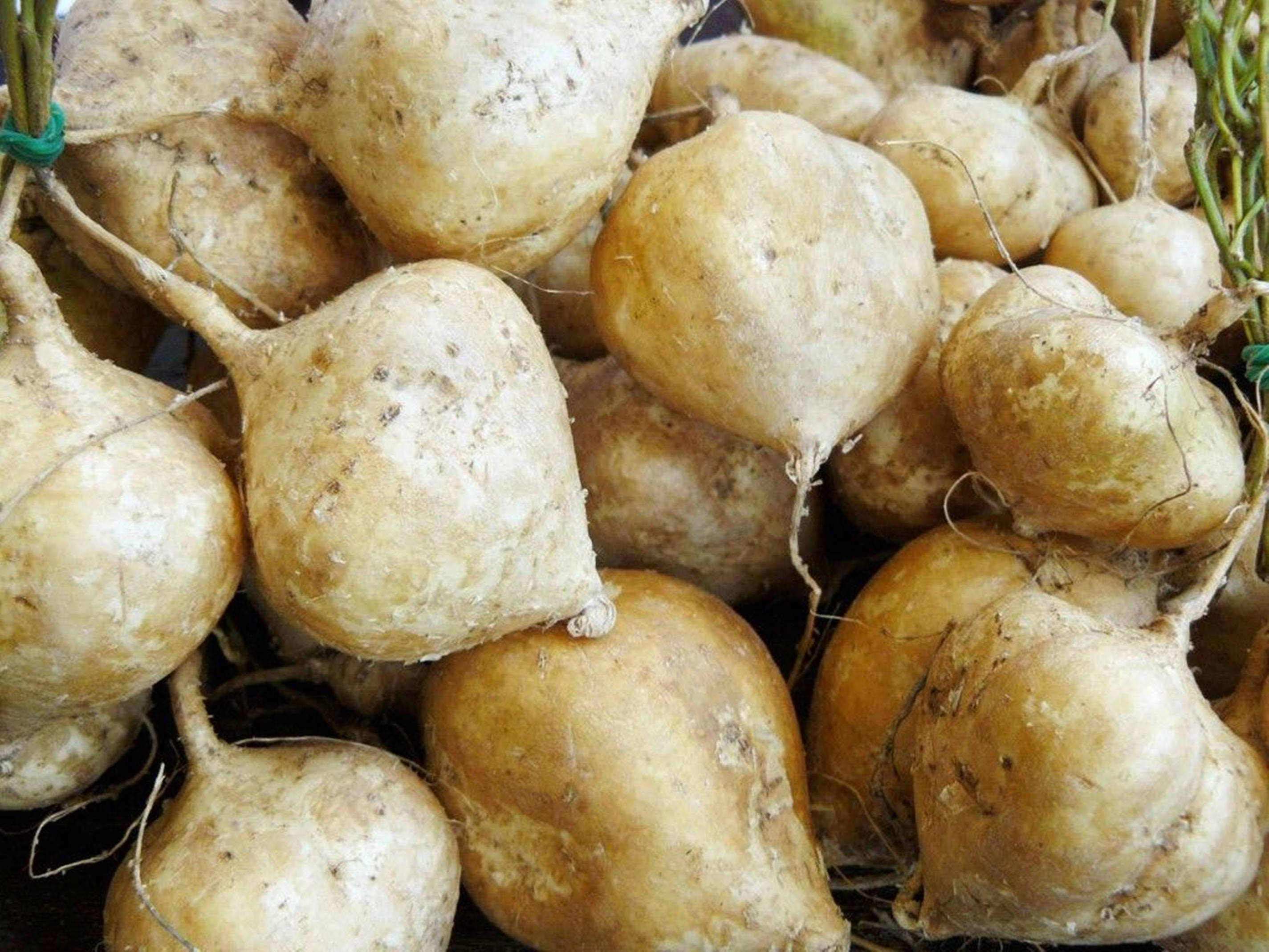 市場上的玉蜀黍根 壁紙 — 新鮮帶泥土的白蘿蔔特寫，綠色莖部捆綁成束，展現自然質感和有機瑕疵。
