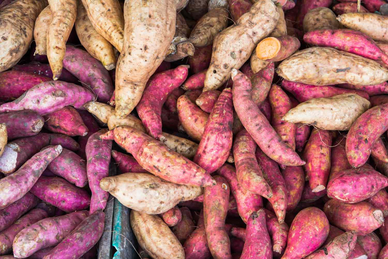 Yellow Sweet Potato 桌布 壁紙 — 市場攤位上堆疊在一起的新鮮紫色和米色番薯的鮮明特寫。