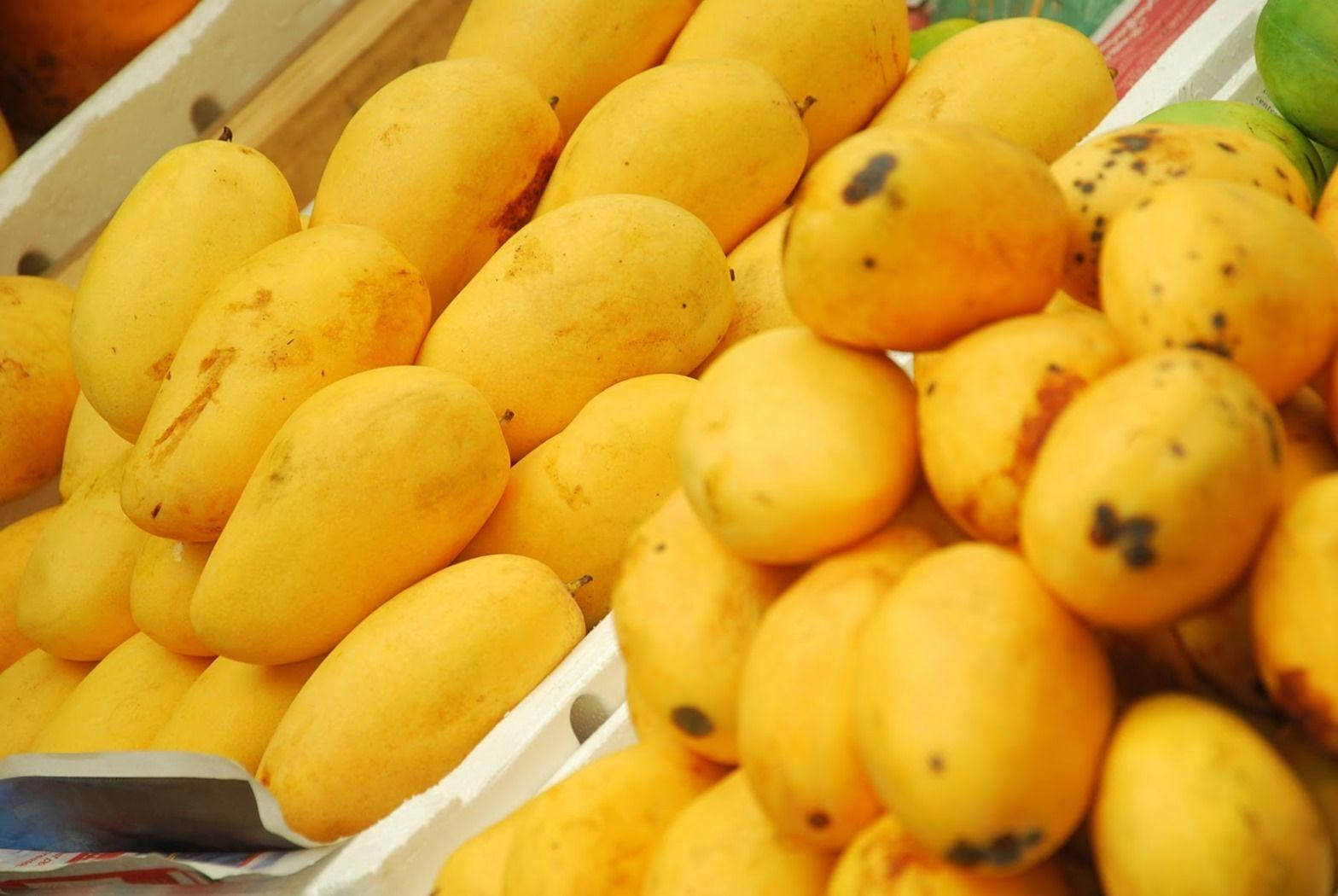 Mango 桌布 壁紙 — 市場攤位上白色板條箱中堆疊的成熟黃芒果的鮮豔特寫。