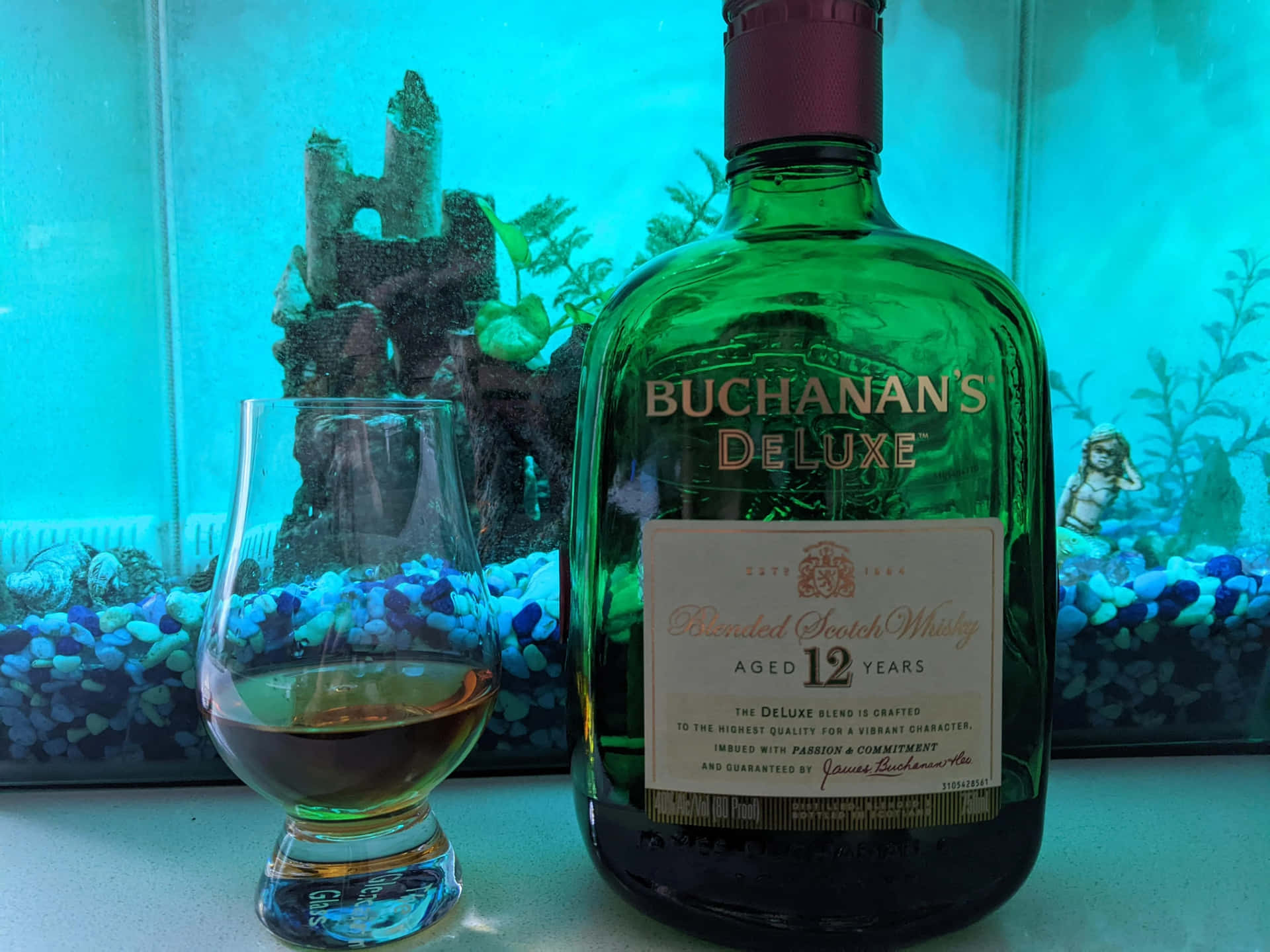 一個威士忌酒瓶和玻璃杯，前面是帶有城堡裝飾的藍色水族箱。