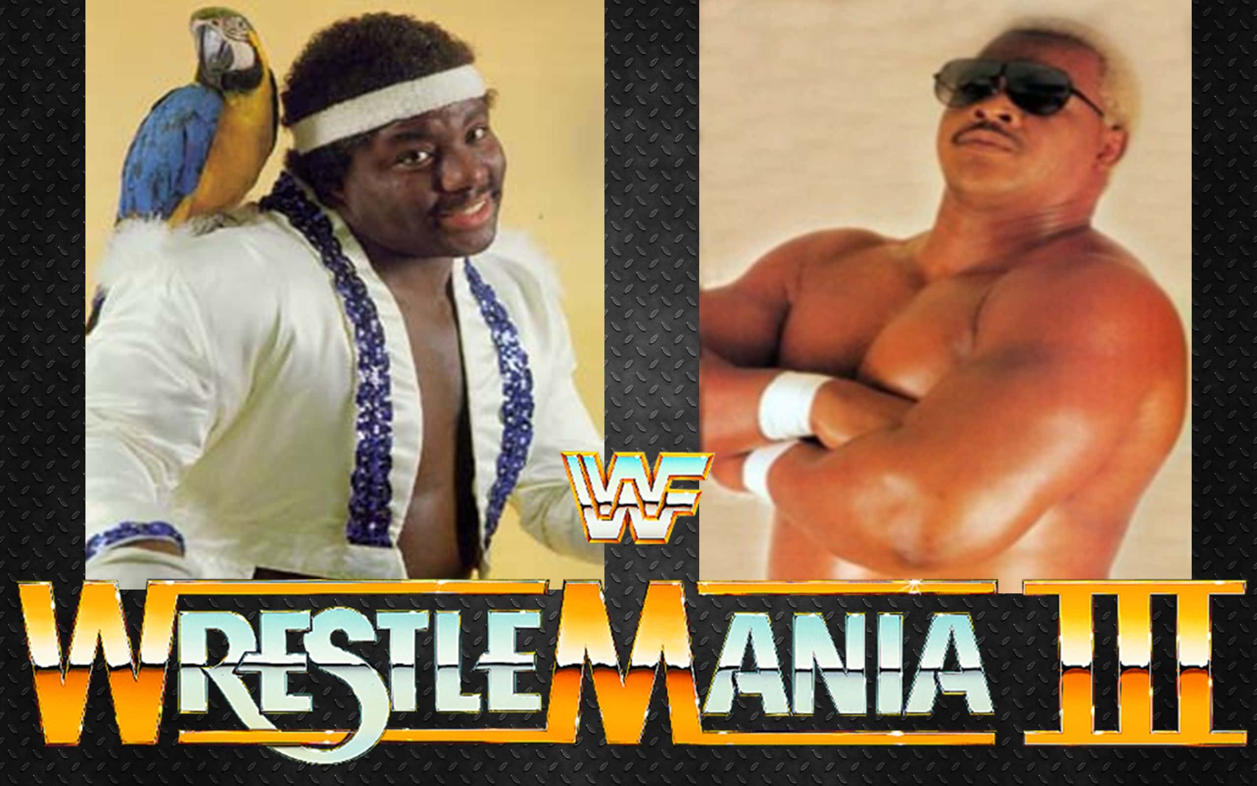 布奇·里德出席WrestleMania III 壁紙 — 兩位WWE摔角手自信地擺姿勢，一位肩上有一隻鸚鵡，另一位交叉雙臂，站在WrestleMania III標誌下方。