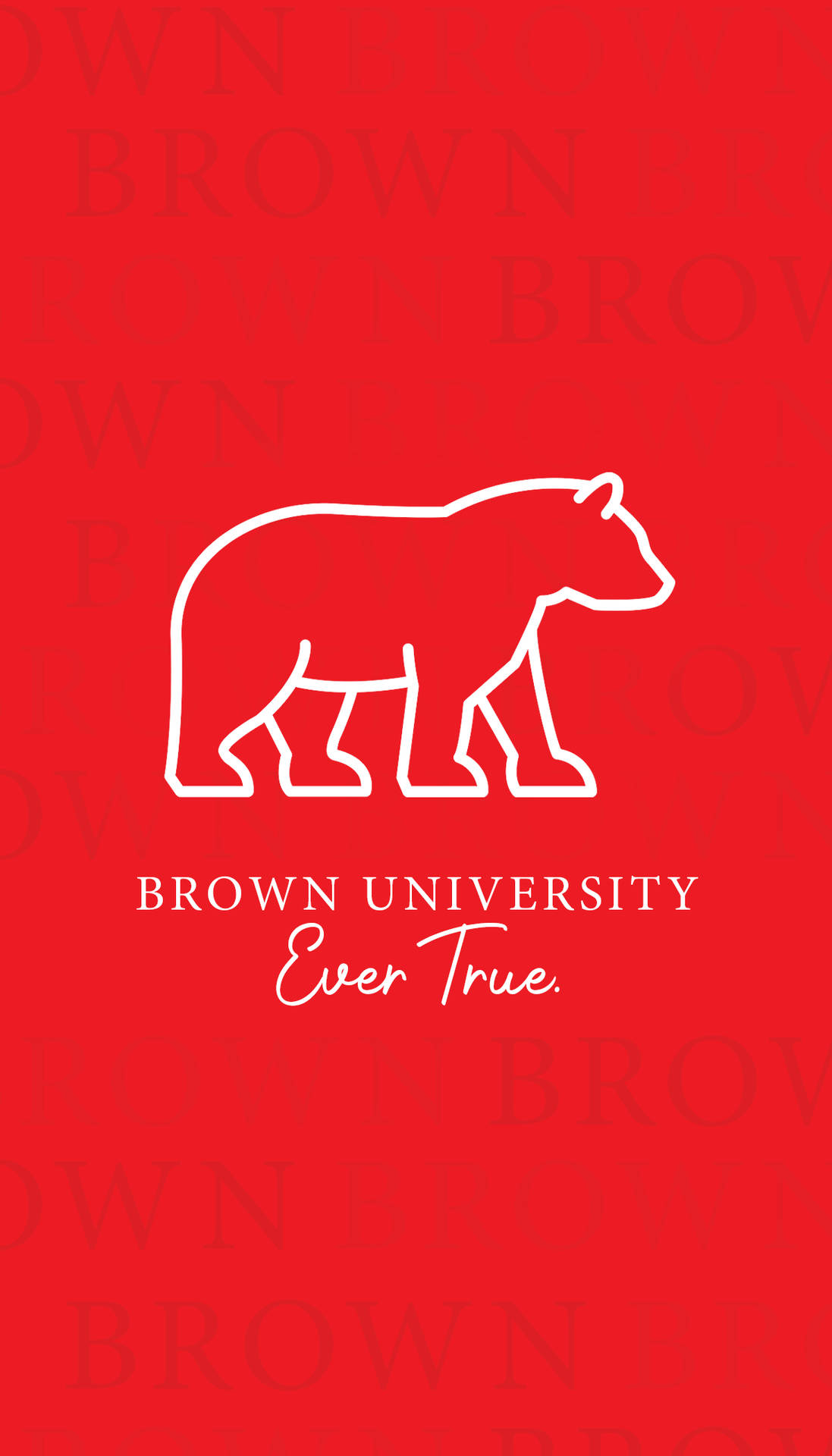 Brown University 標誌，帶有熊剪影和 Ever True 標語，紅色背景。