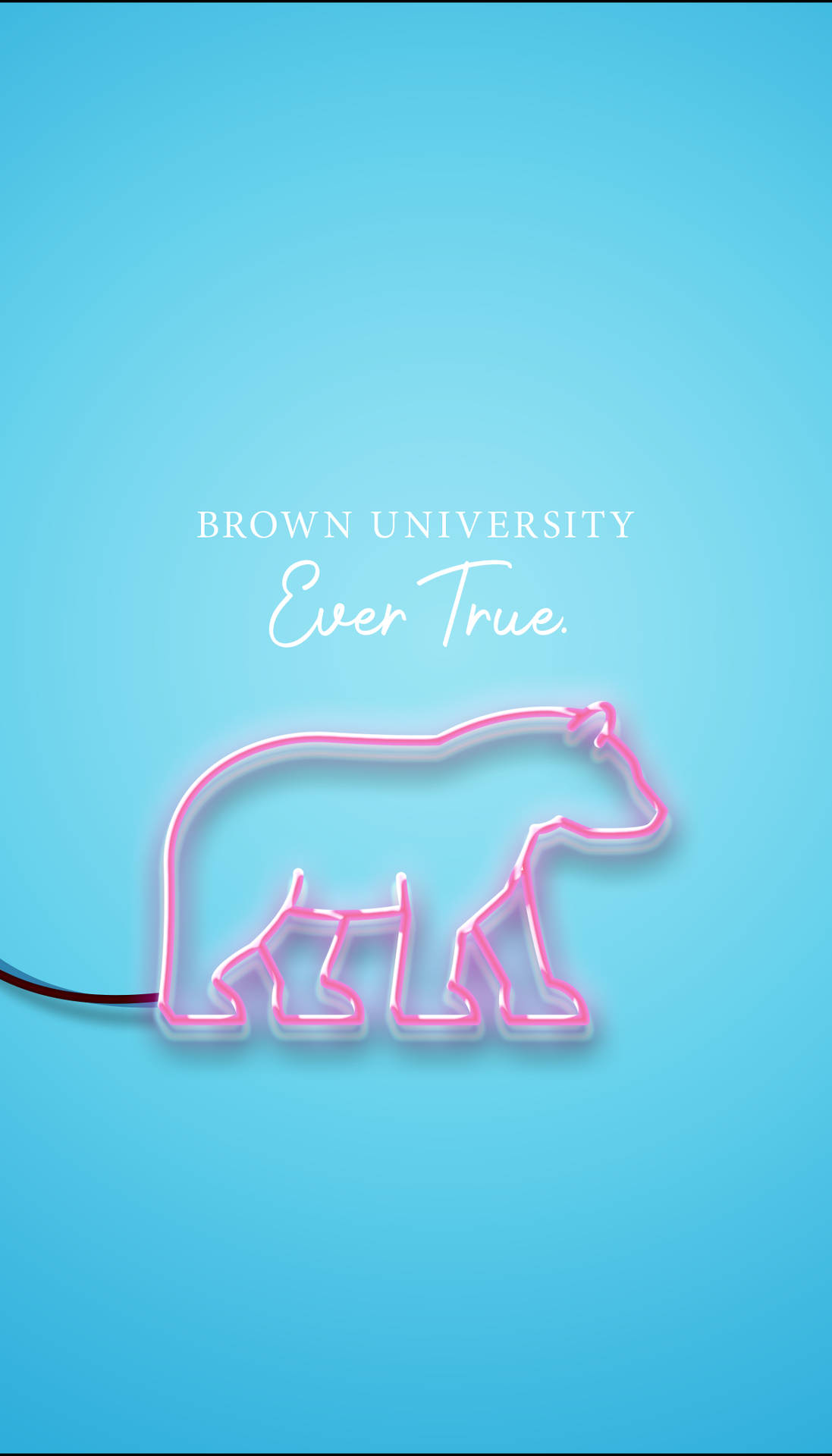 布朗大學的粉紅色霓虹燈熊標誌，藍色背景上帶有「Ever True」文字。