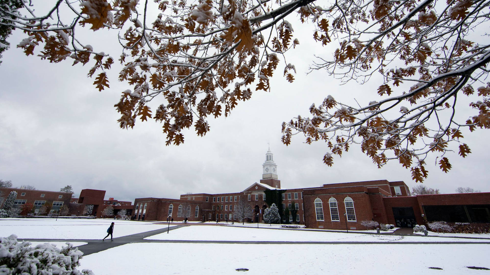 白雪覆蓋的大學校園，磚砌建築和光禿的橡樹。
