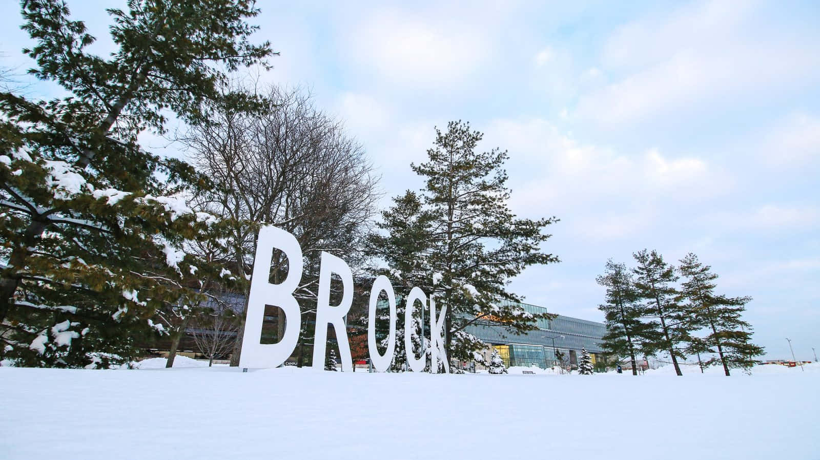被雪覆蓋的地面，大型白色BROOK字母被常綠樹和現代建築環繞。