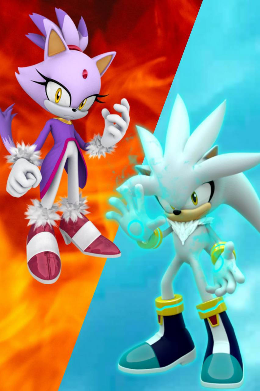 布蕾茲貓與銀河刺猬 壁紙 — Sonic the Hedgehog 和 Silver the Hedgehog 以動感姿勢站在火紅與冰藍的分割背景前。
