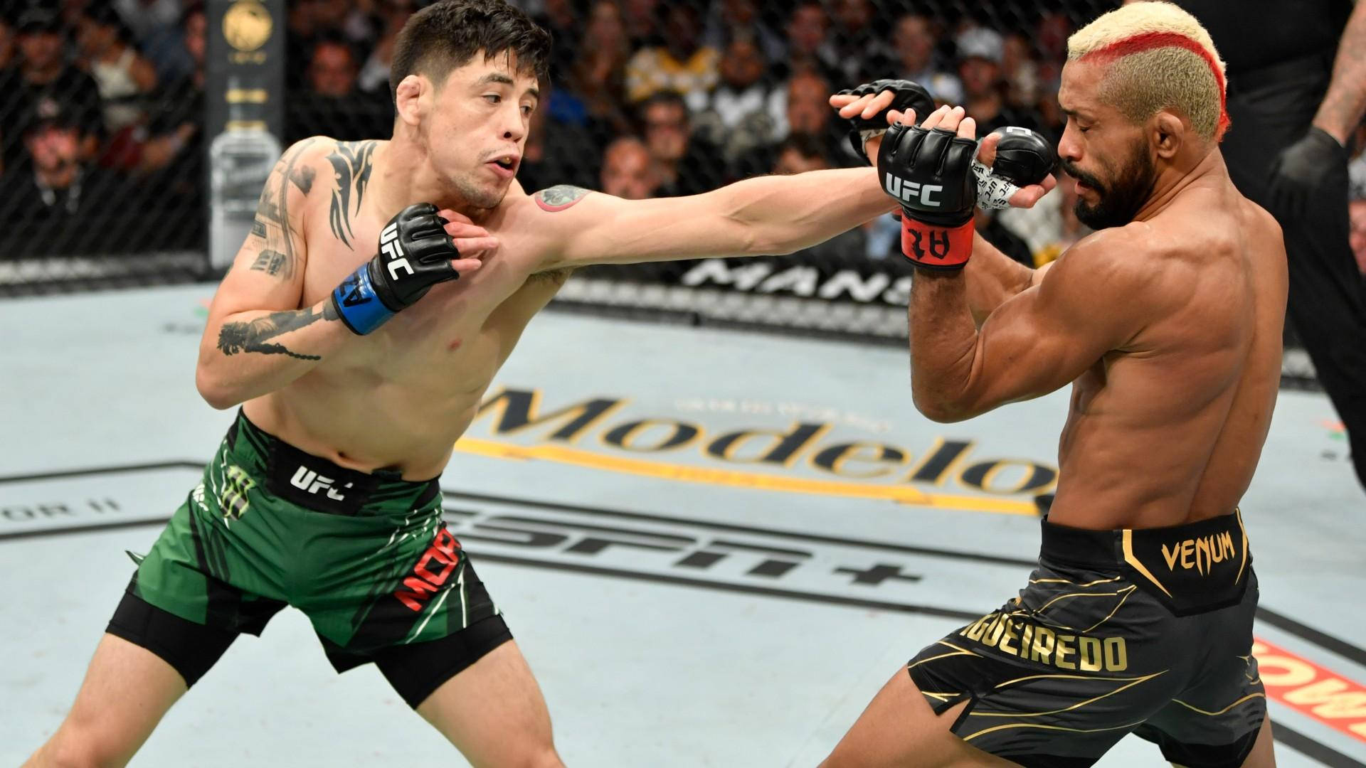 兩名戴著MMA手套的男性拳手在八角籠內互相出拳。