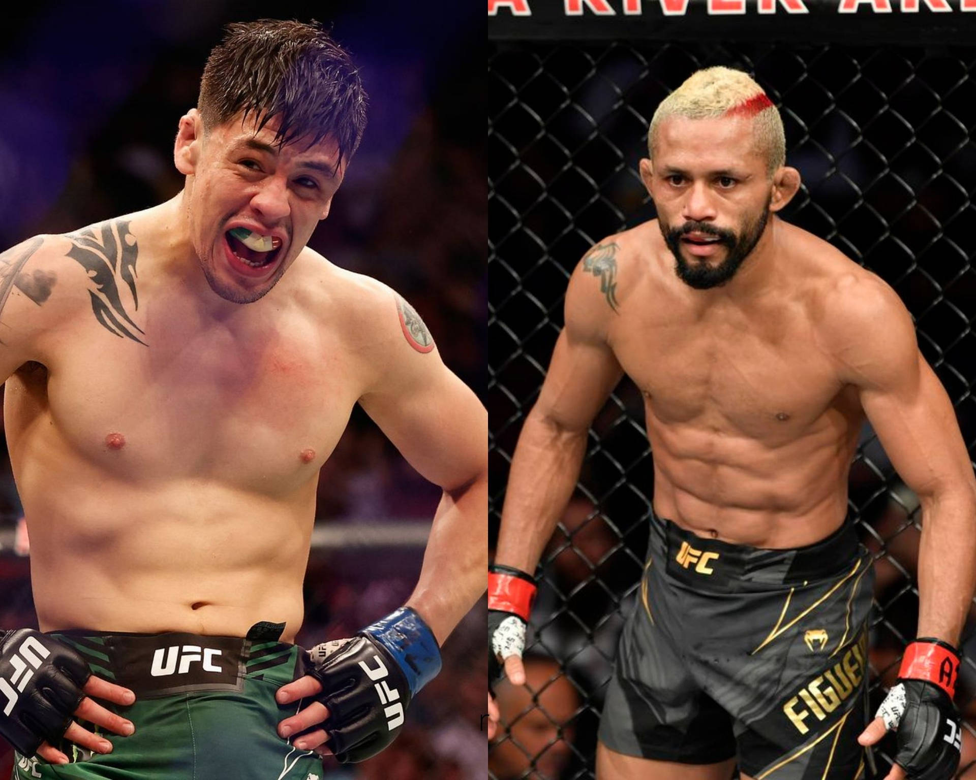 兩名男性MMA拳手在比賽中身穿UFC裝備於八角籠內。