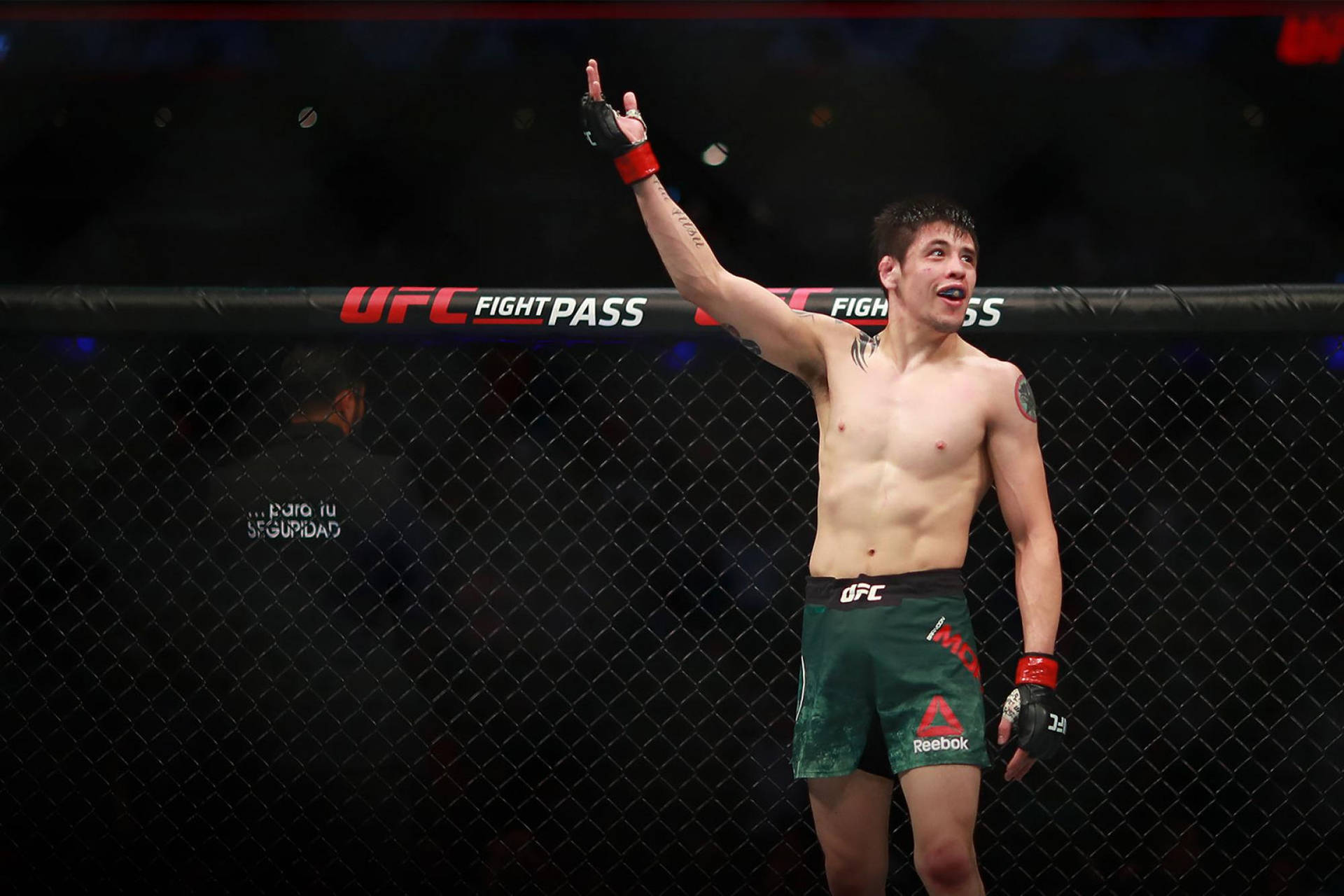 UFC拳手在八角籠內舉手慶祝勝利。