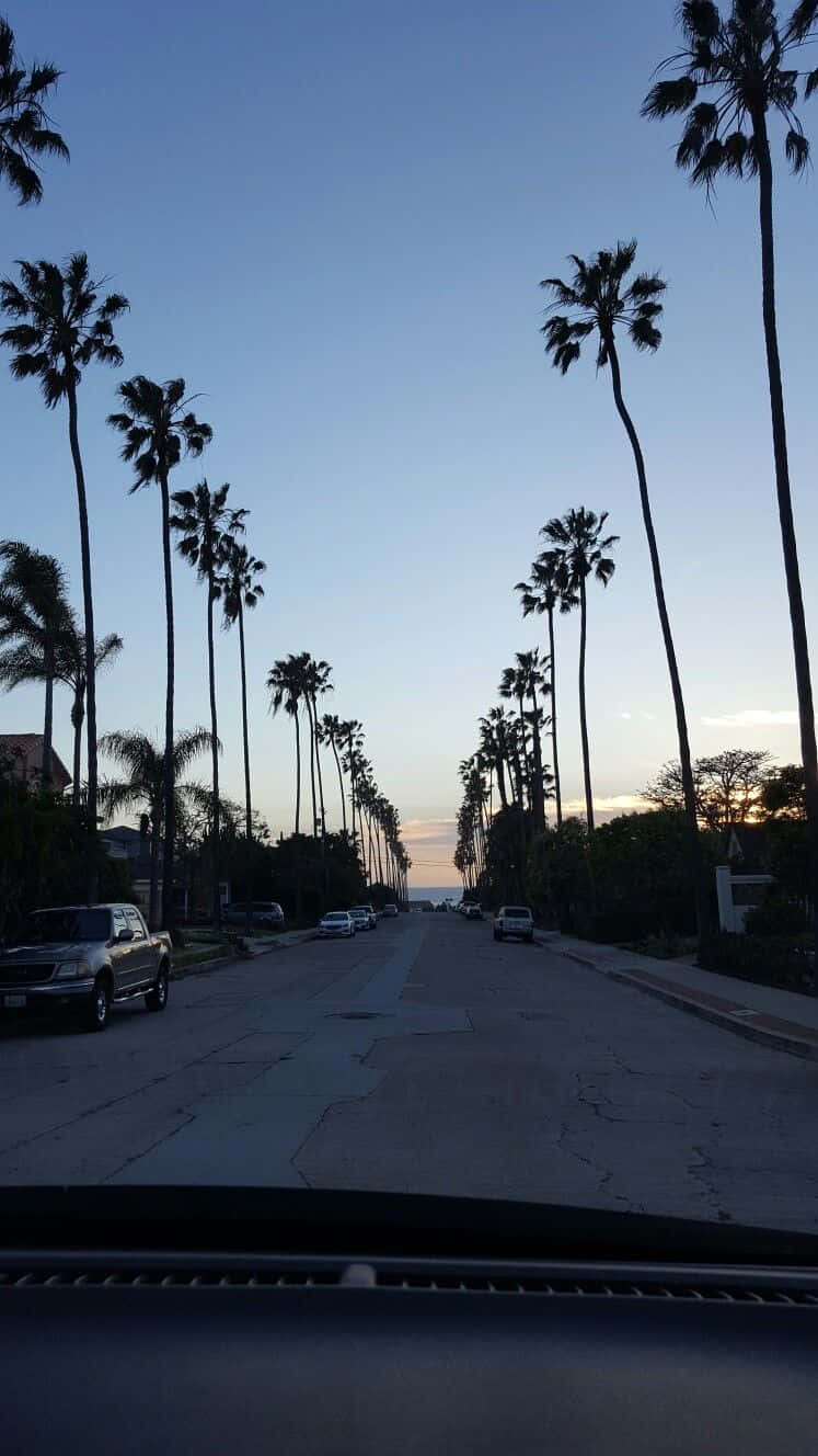 黃昏時分，棕櫚樹排列在街道兩旁，汽車沿著路邊停放。