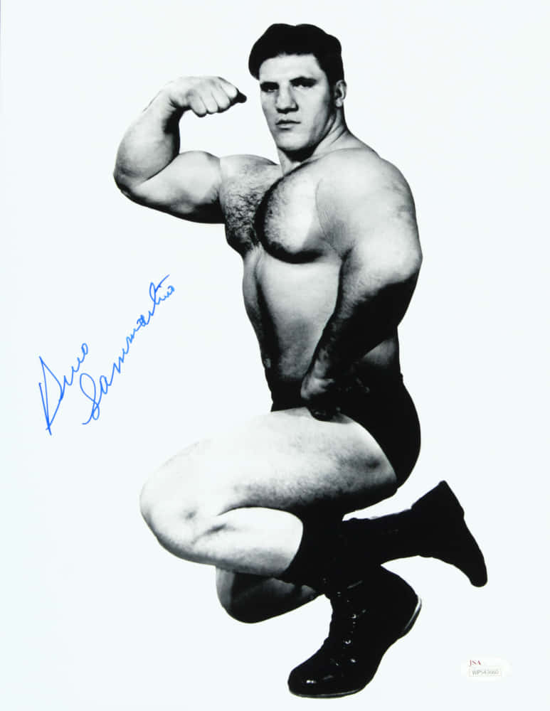 布魯諾·薩瑪蒂諾經典簽名照 壁紙 — 一張黑白照片，摔角手 Bruno Sammartino 以經典姿勢蹲下，展示他的二頭肌。