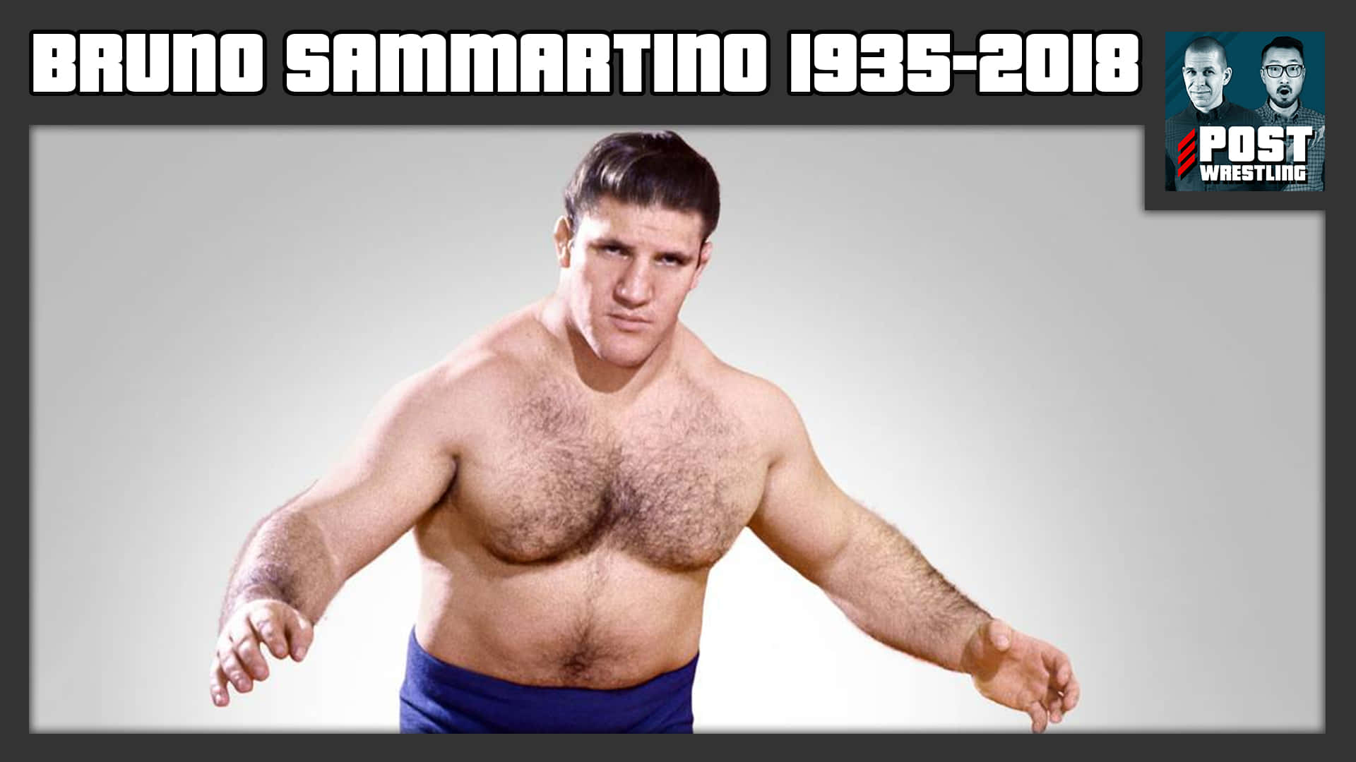 布魯諾·薩馬蒂諾致敬海報 壁紙 — Bruno Sammartino 赤裸上身，穿著藍色短褲，在純色工作室背景前擺出經典摔角姿勢。