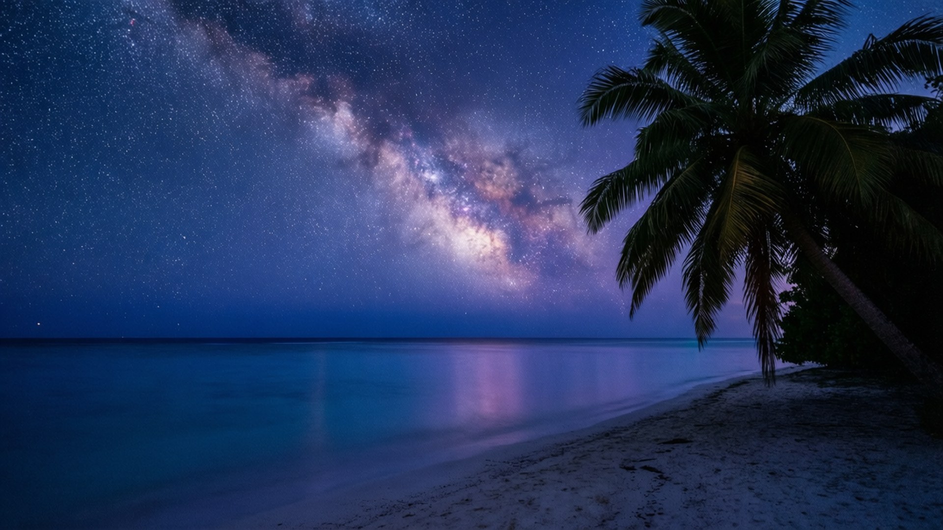 夜間熱帶海灘上空的銀河系與棕櫚樹