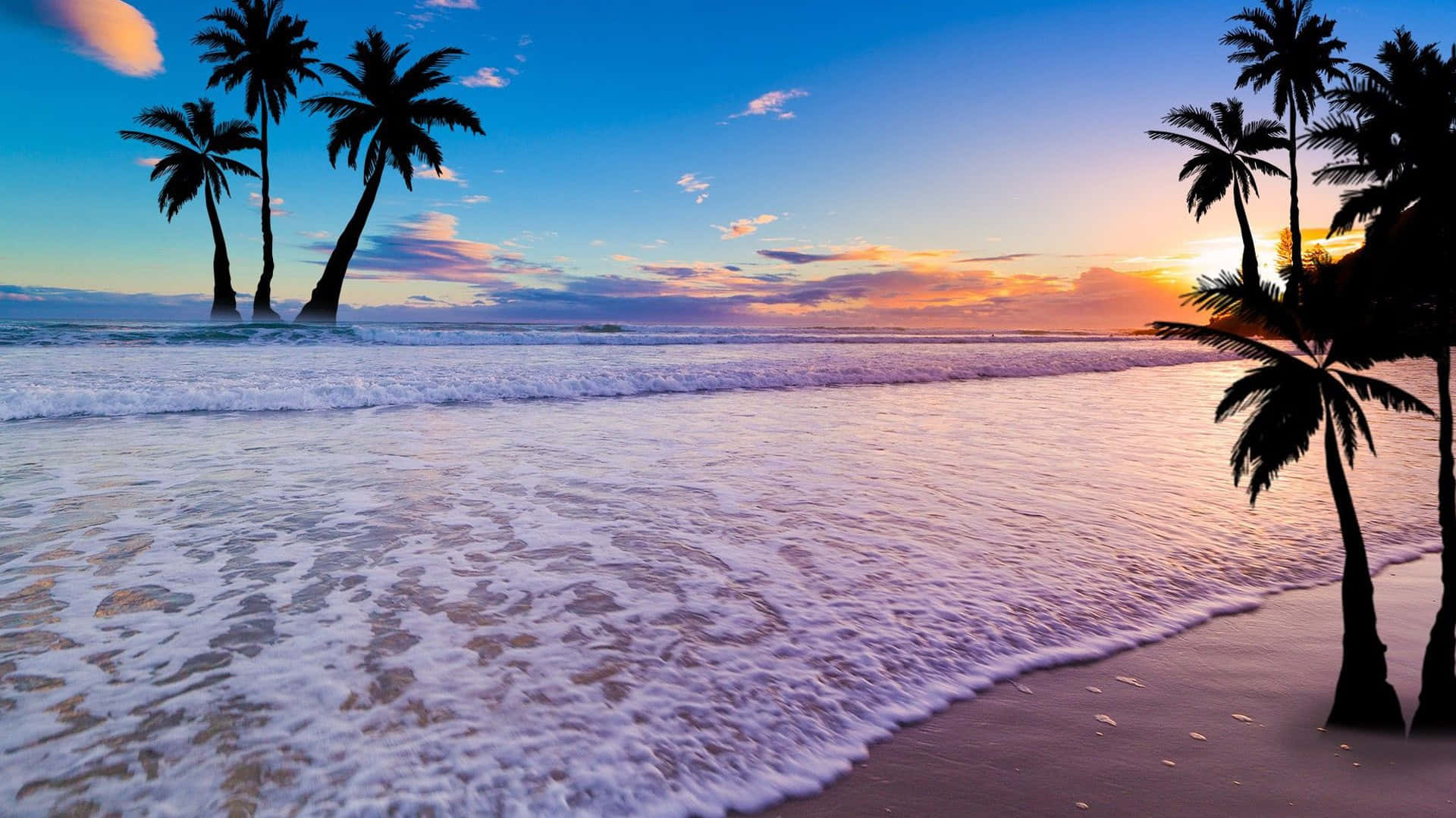 熱帶海灘上的夕陽，有棕櫚樹和拍岸的海浪