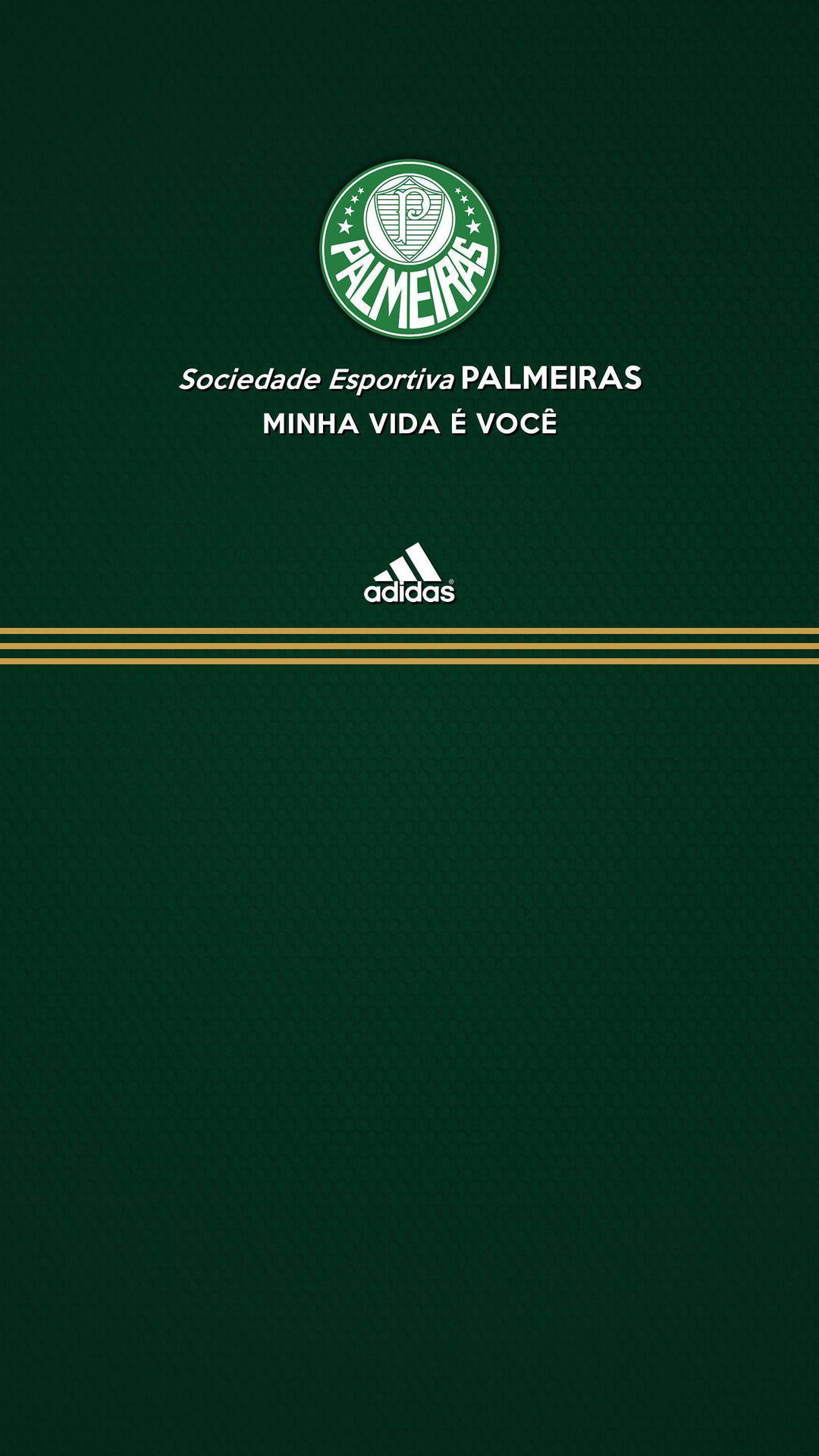 帕爾梅拉斯足球俱樂部標誌，帶有Adidas品牌，置於深綠色紋理背景上。