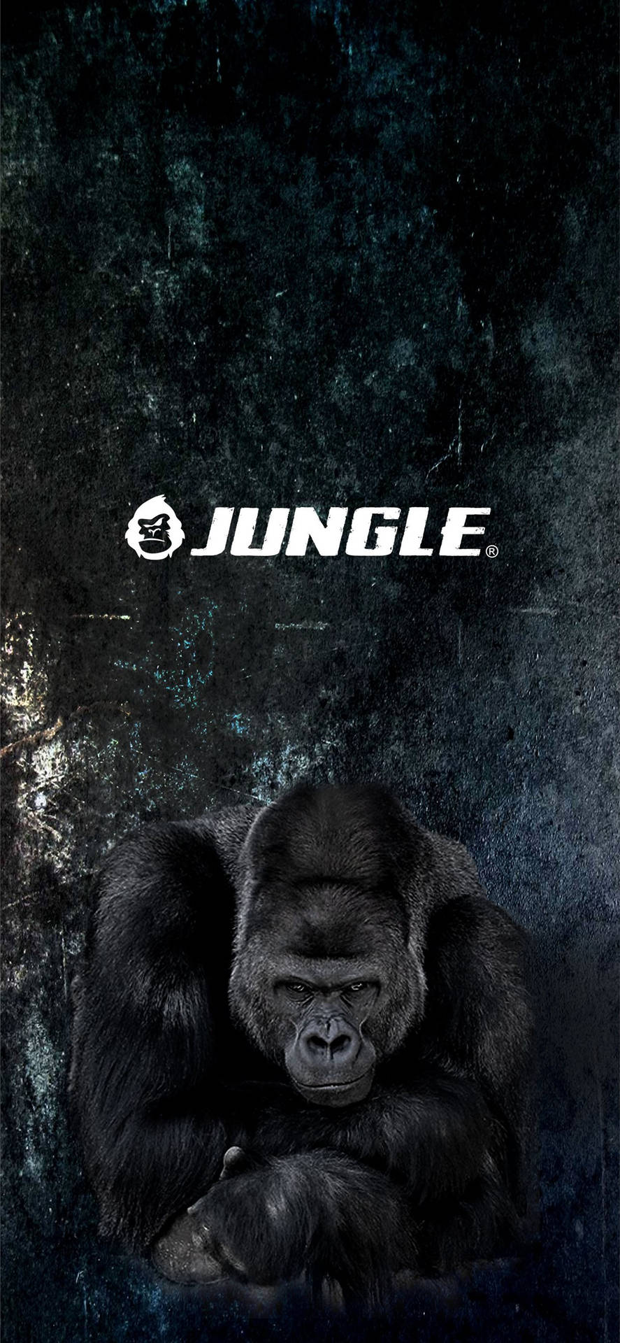 一隻眼神強烈的大猩猩，背景為深色紋理，帶有「JUNGLE」標誌。